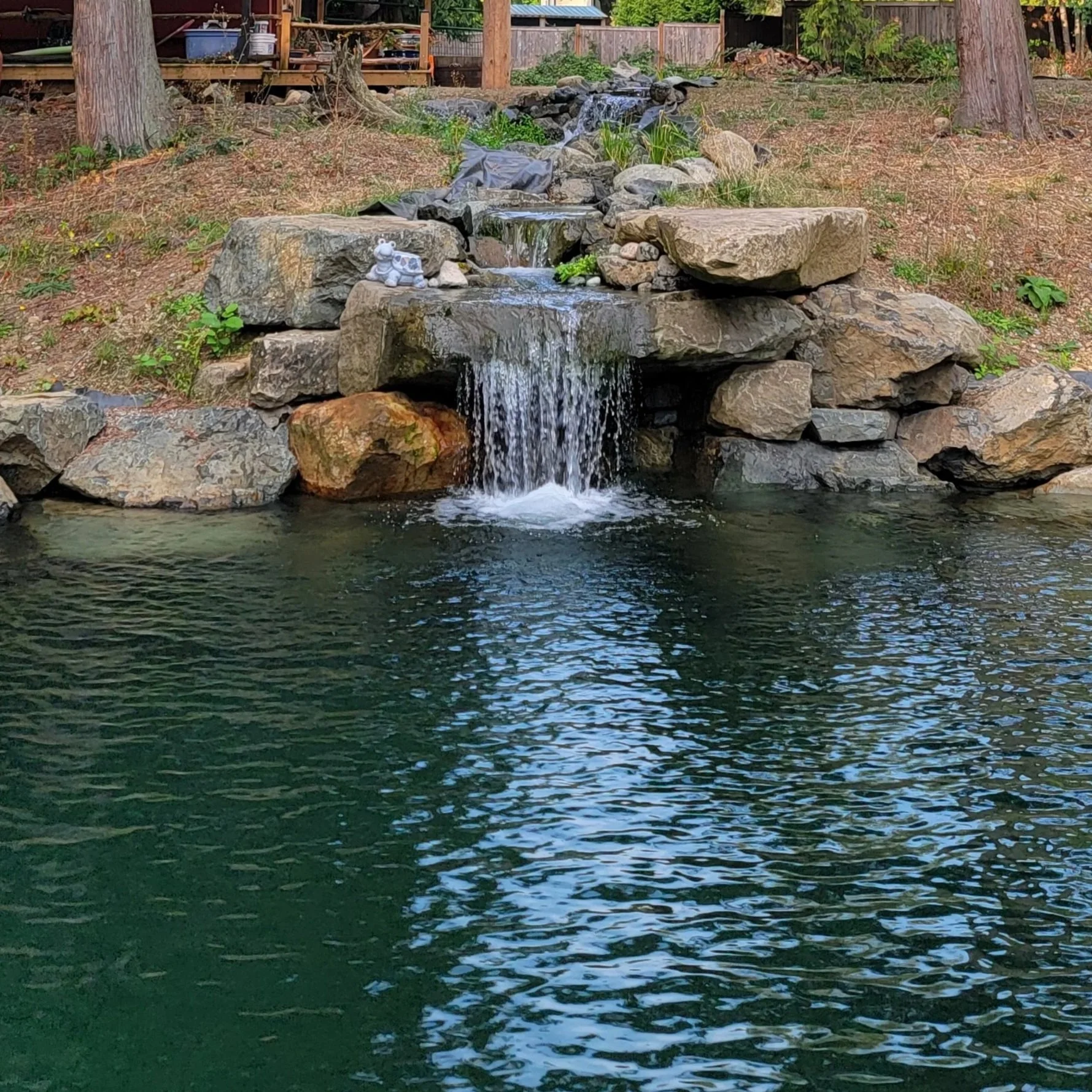 Hand Crafted Waterfall with Aquaponics Pond in Squamish Backyard