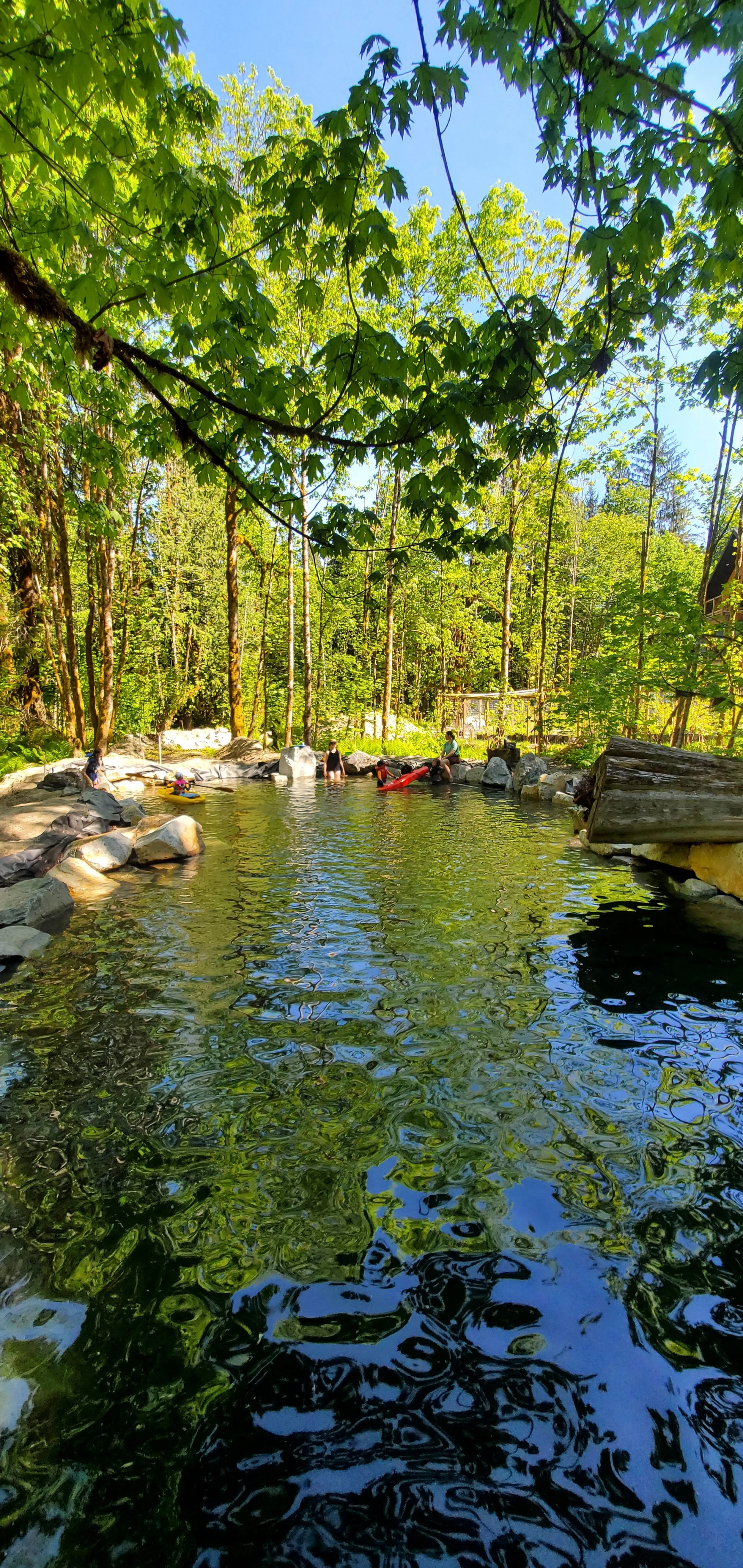 Family enjoying a chemical-free natural swimming pool, with parents wading while children play with kayaks