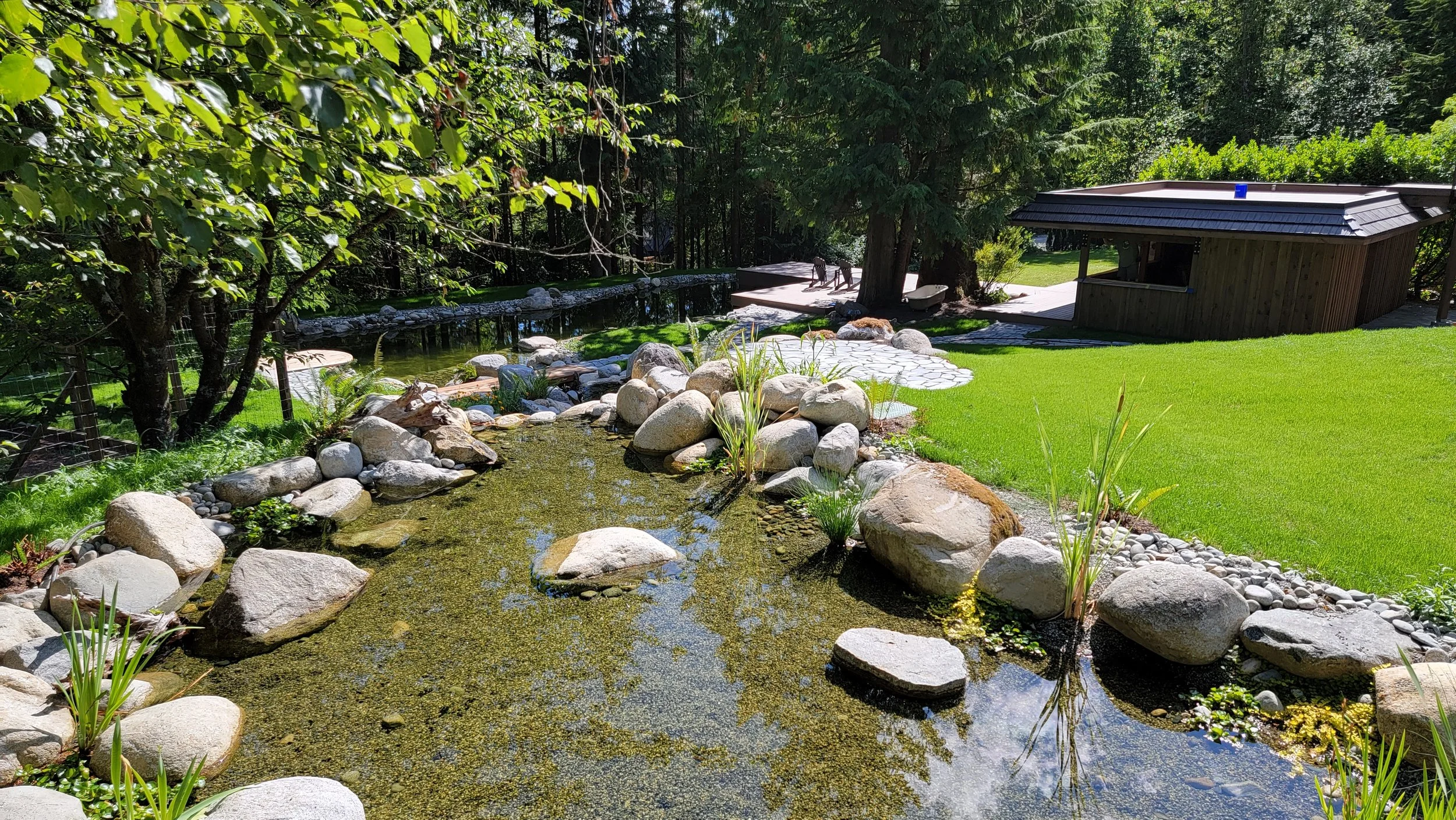 Plant-based filtration pond connected to a natural swimming pool through a stream