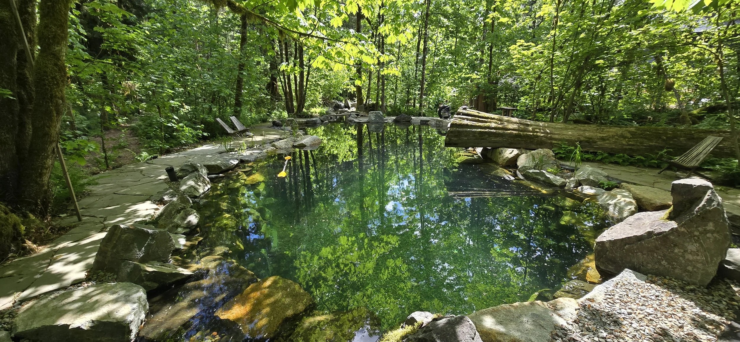 Natural Swimming Pool with Custom Waterfall built in Squamish, British Columbia by West Coast Natural Pools