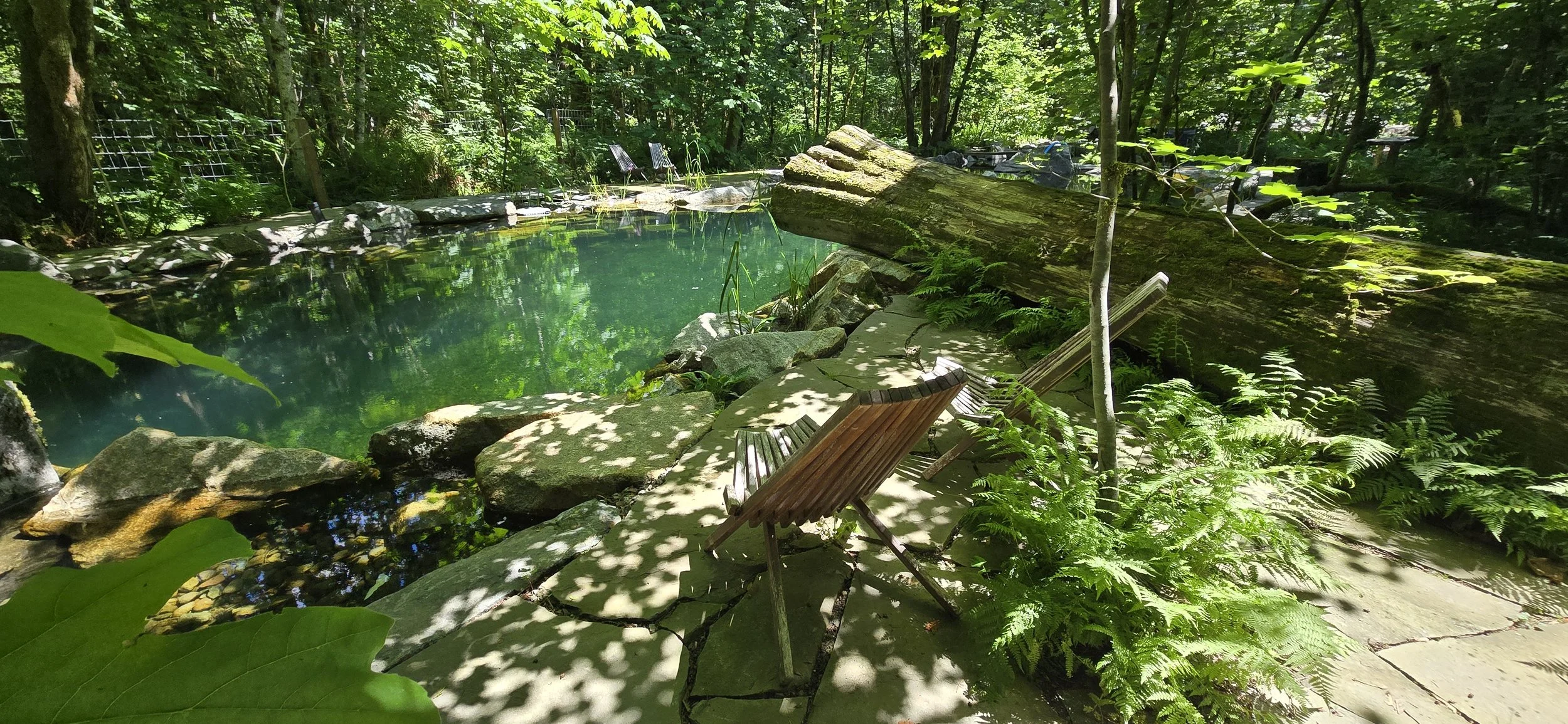 Natural Swimming Pool with Custom Waterfall built in Squamish, British Columbia by West Coast Natural Pools