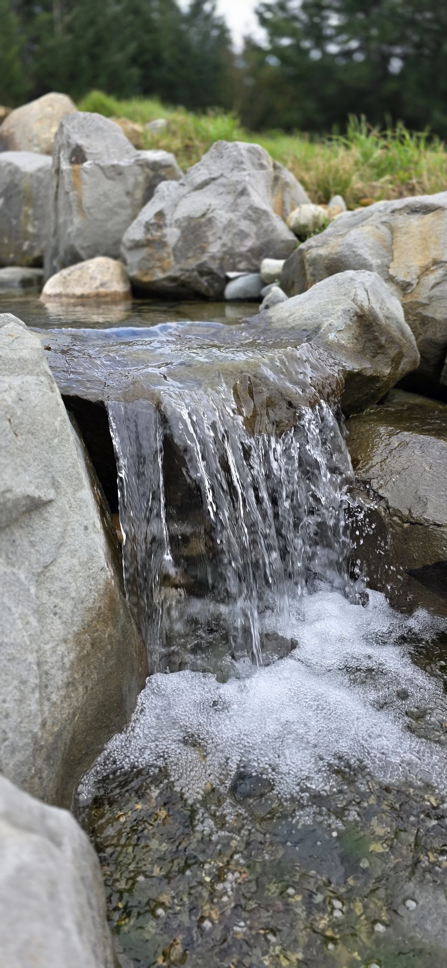 Hand Crafted Waterfall with Aquaponics Pond in Squamish Backyard