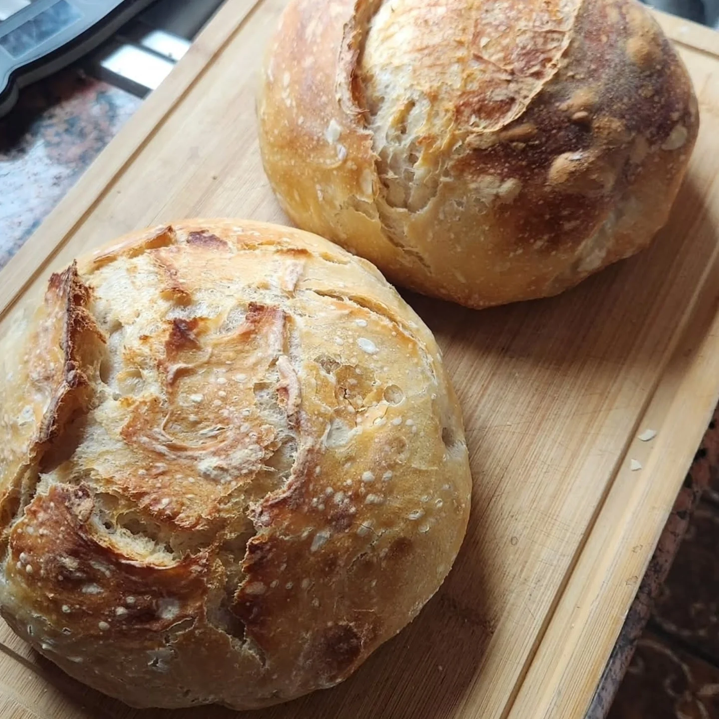 Sour Dough Bread