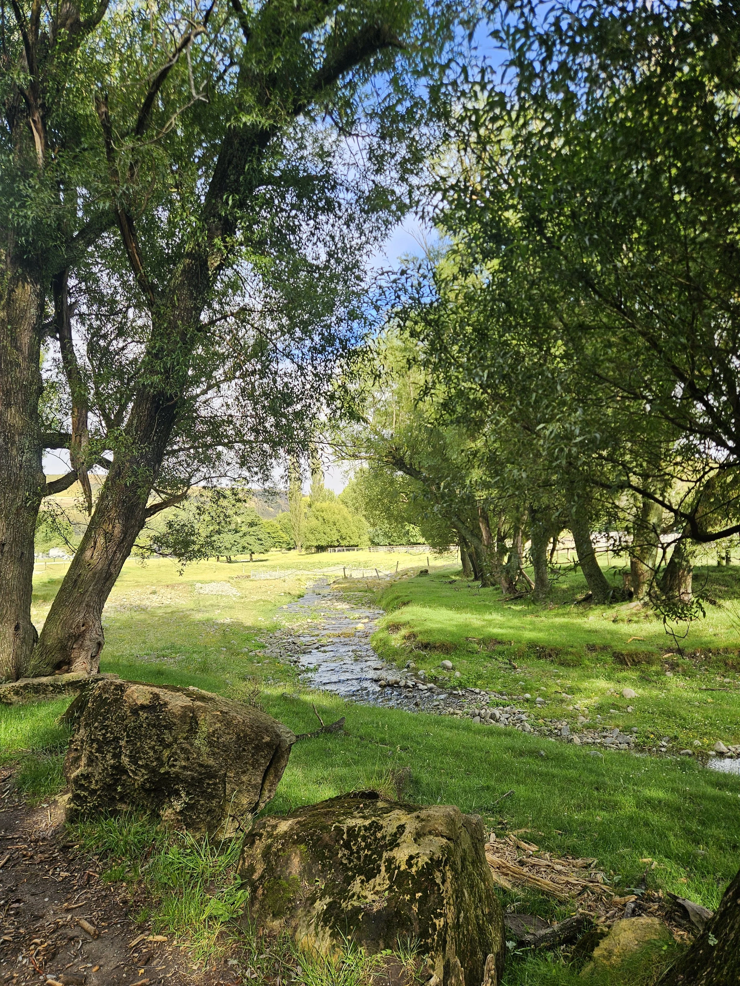 A serene landscape featuring a small creek flowing through a grassy area, flanked by trees with lush green leaves and rocks along the bank, under a partly cloudy sky.