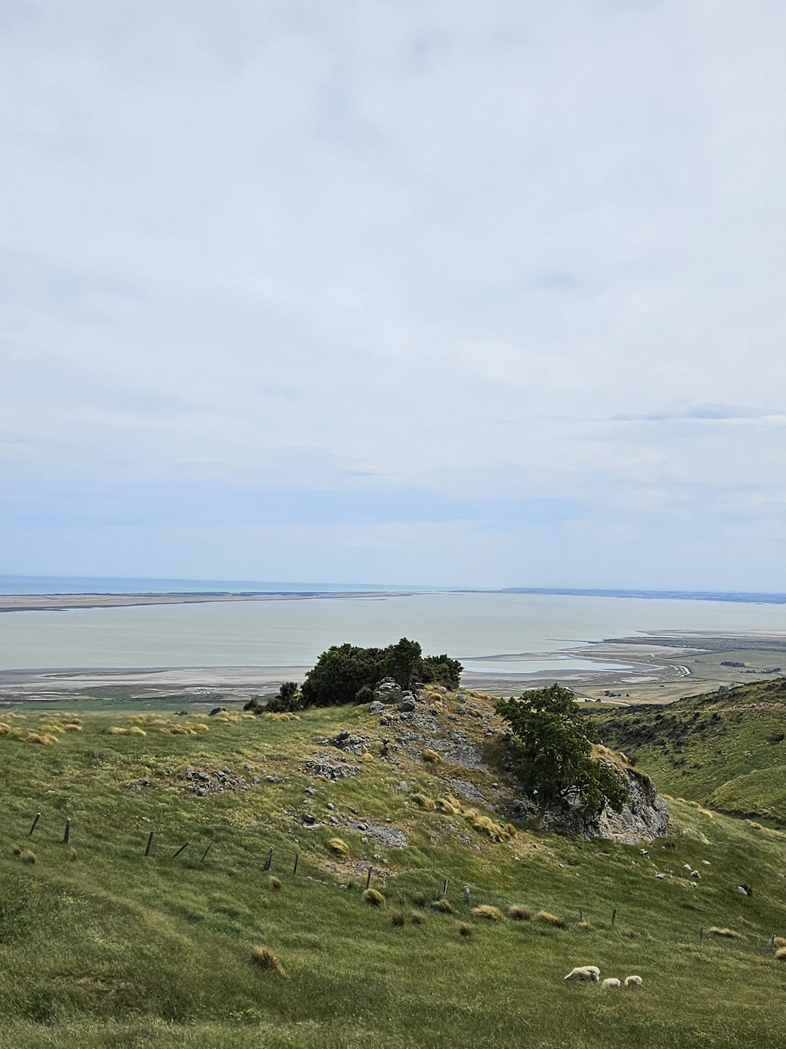 Green rolling hills with scattered rocks and trees, overlooking a large body of water under a cloudy sky.
