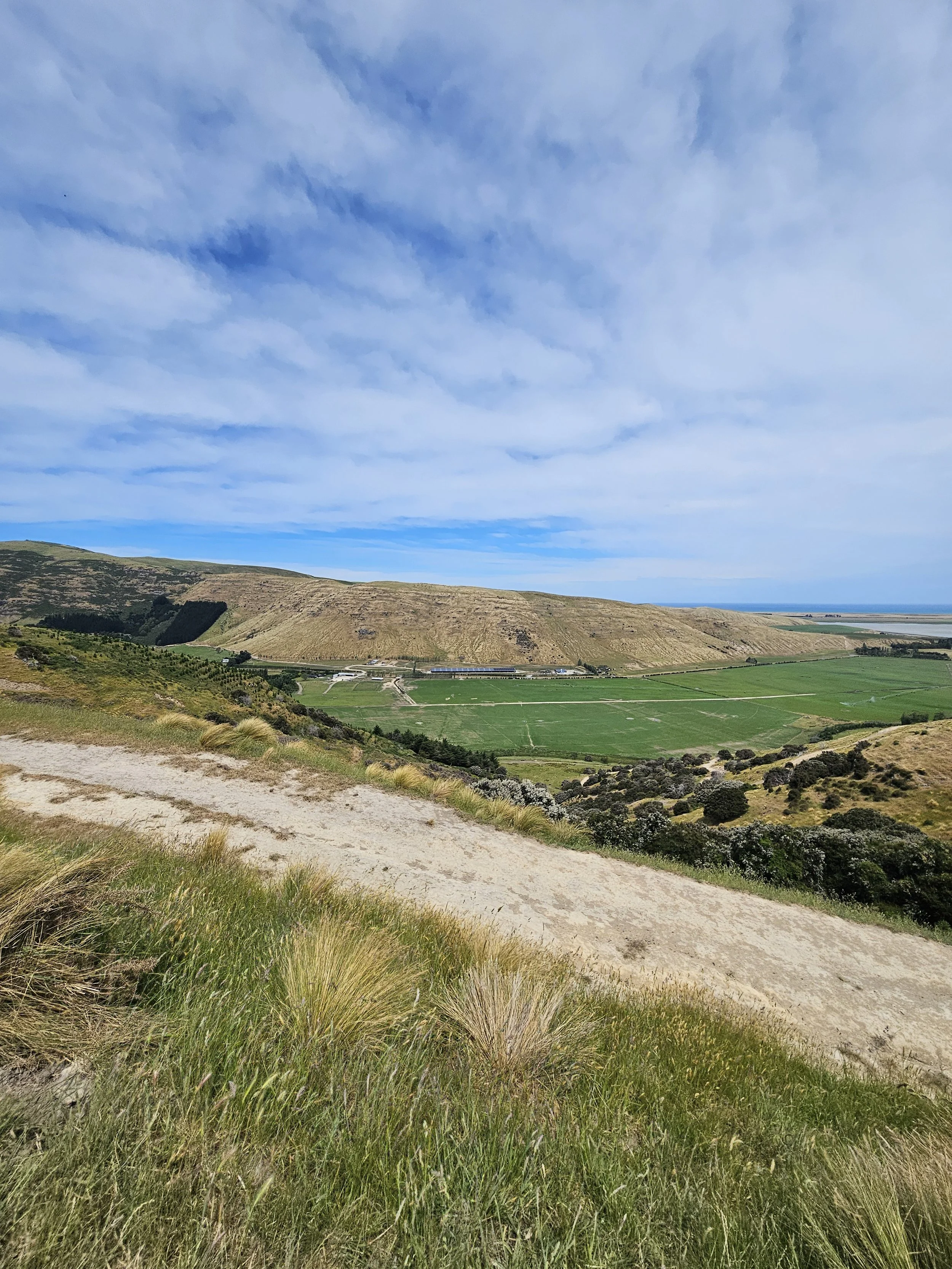 A landscape view of rolling hills and a valley with green fields, small trees, and a winding dirt path in the foreground. Blue sky with scattered clouds above.