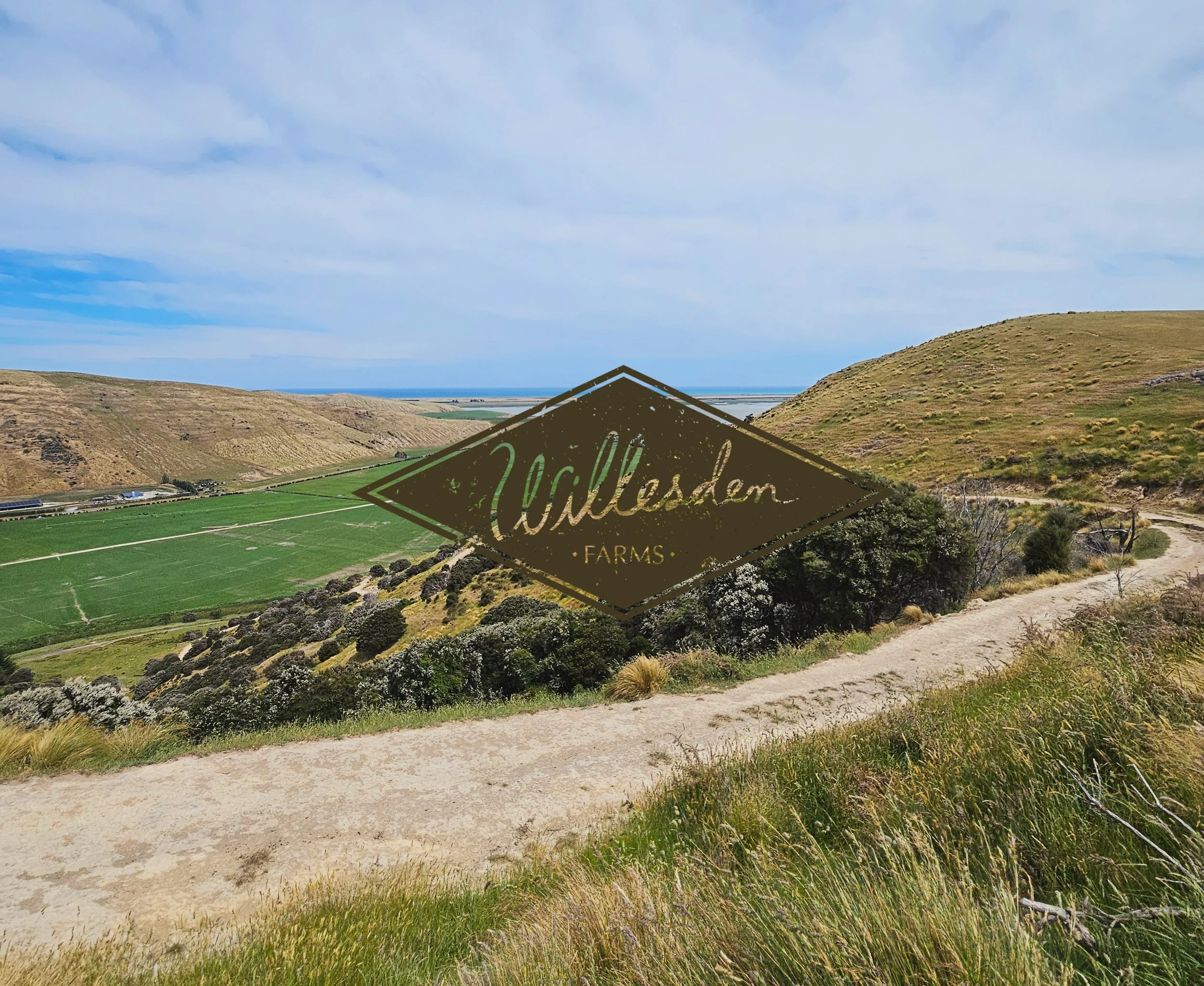 Scenic view of rolling hills and farmland with a dirt path leading through grassy terrain. The landscape shows green fields and dry, brown hills under a partly cloudy sky, with the ocean visible in the distance. Overlaid on the image is a logo reading "Walleden Farms."
