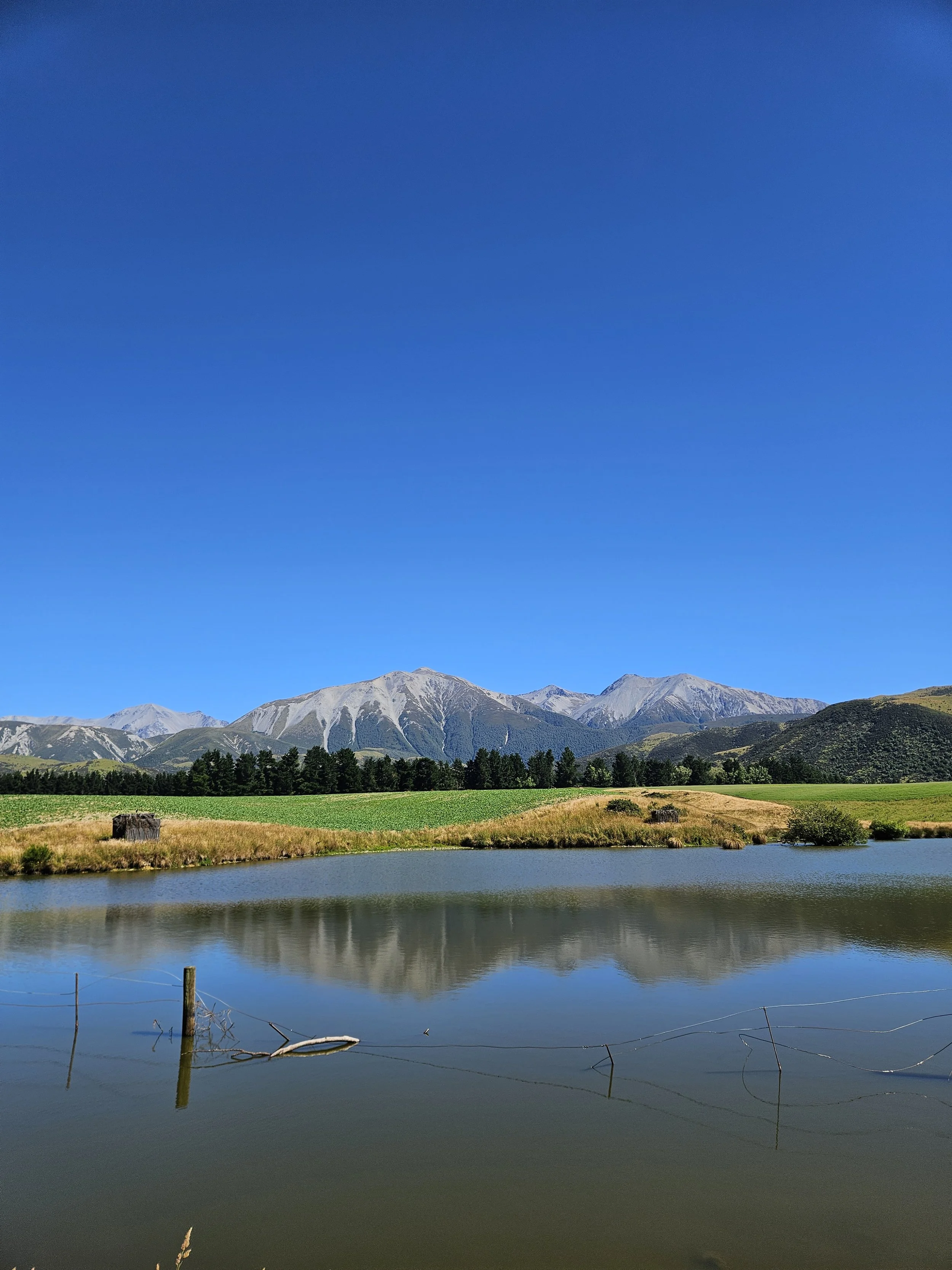A landscape with a calm body of water reflecting green grassy fields, rows of trees, and mountain peaks under a clear blue sky.