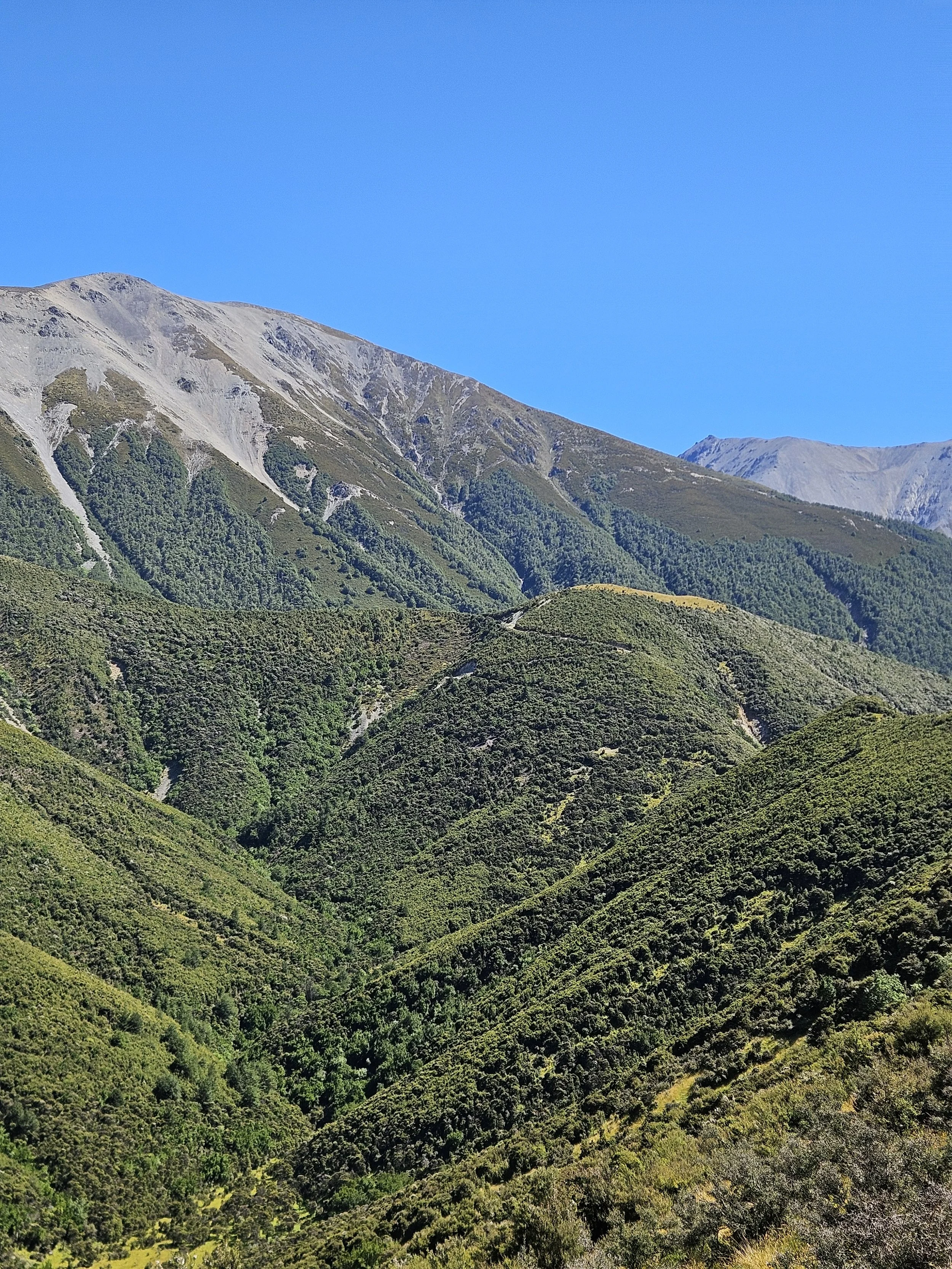 Green mountainous landscape under a clear blue sky.