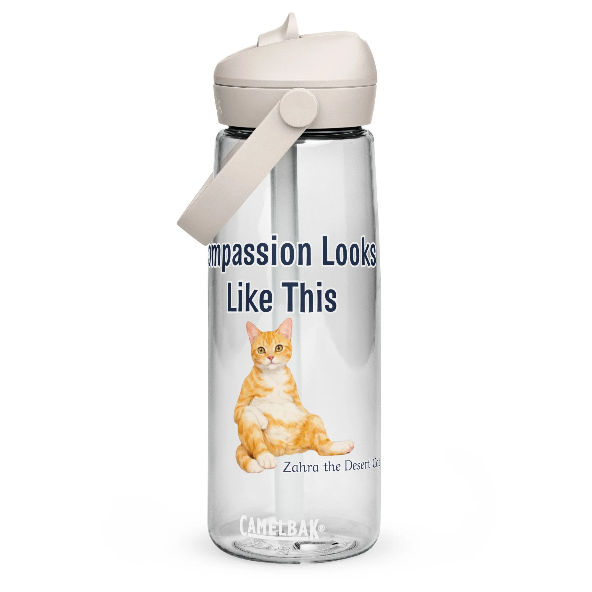 Compassion Looks Like This Flip straw water bottle
