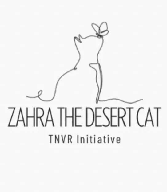 Zahra the Desert Cat