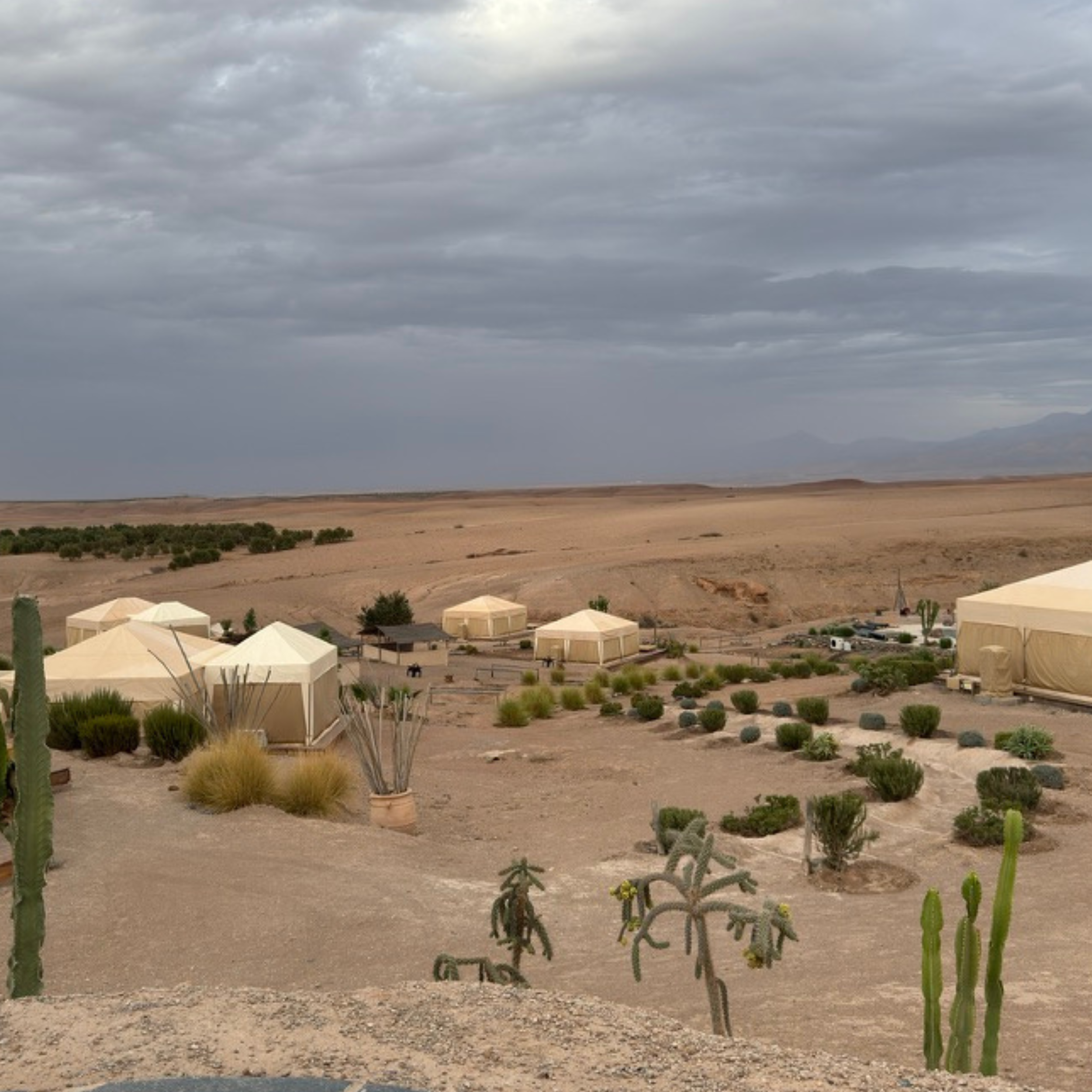 Agafay Desert landscape with several tents and sparse desert vegetation under a cloudy sky.