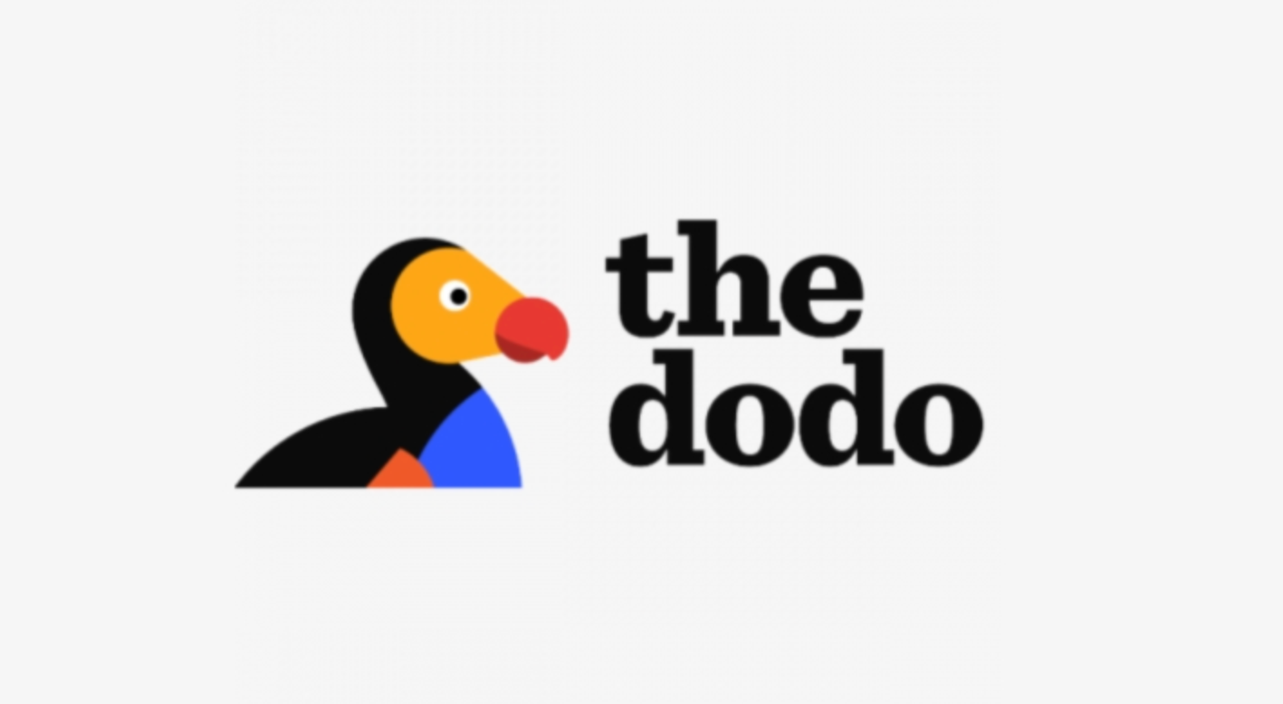 Logo of the dodo bird with black, yellow, red, blue, and orange colors and the text 'the dodo' in black.