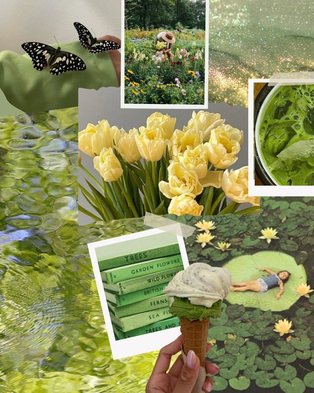 Friday favorites moodboard, green on repeat this season 💚🥑🌴🌳🥝🍋&zwj;🟩🫒🍵🪴👒