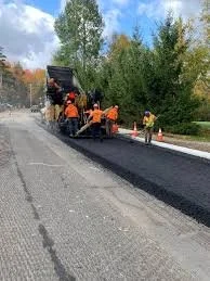 Road construction workers paving a road with asphalt, surrounded by trees and traffic cones.