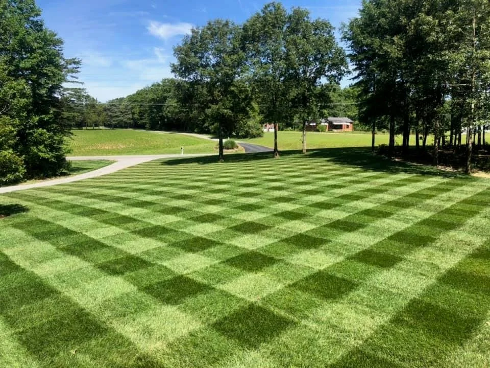 Lawn Stripes.jpg