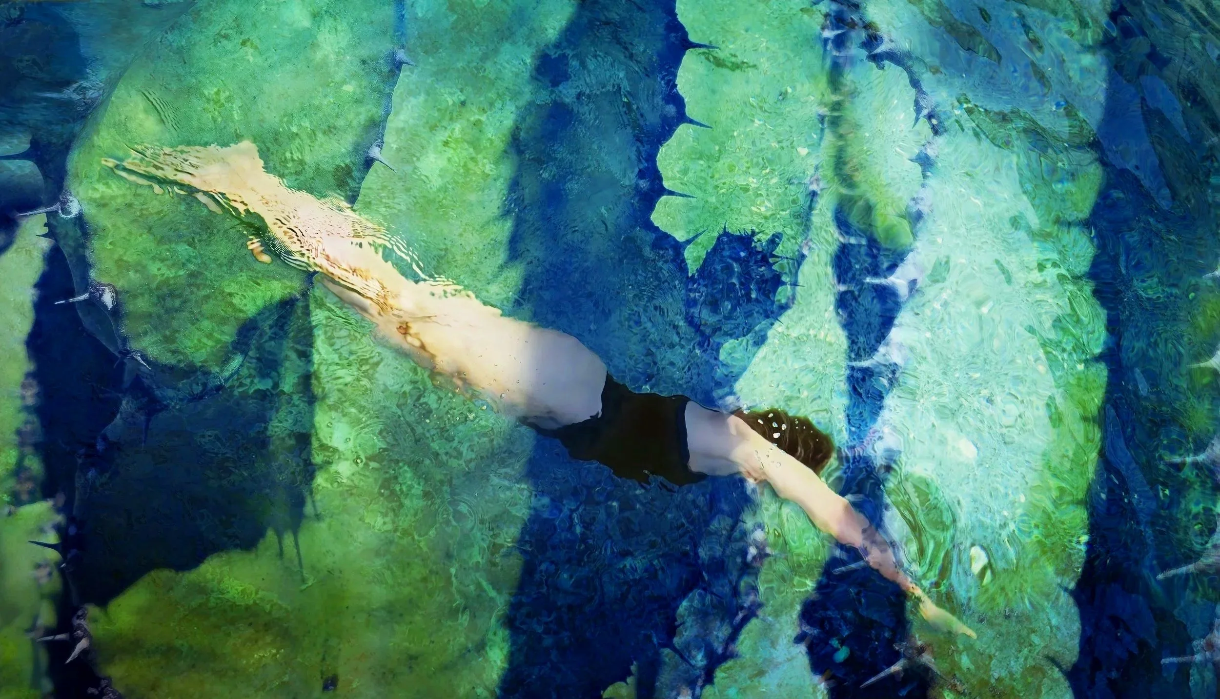 Bianca in Black (2025)</br>Acrylic face-mounted archival pigment print on Sintra.</br>36" x 63" - Editions of 10 + 2 AP&emsp;&emsp;42" x 73" - Editions of 8&emsp;&emsp;48" x 84" - Editions of 8