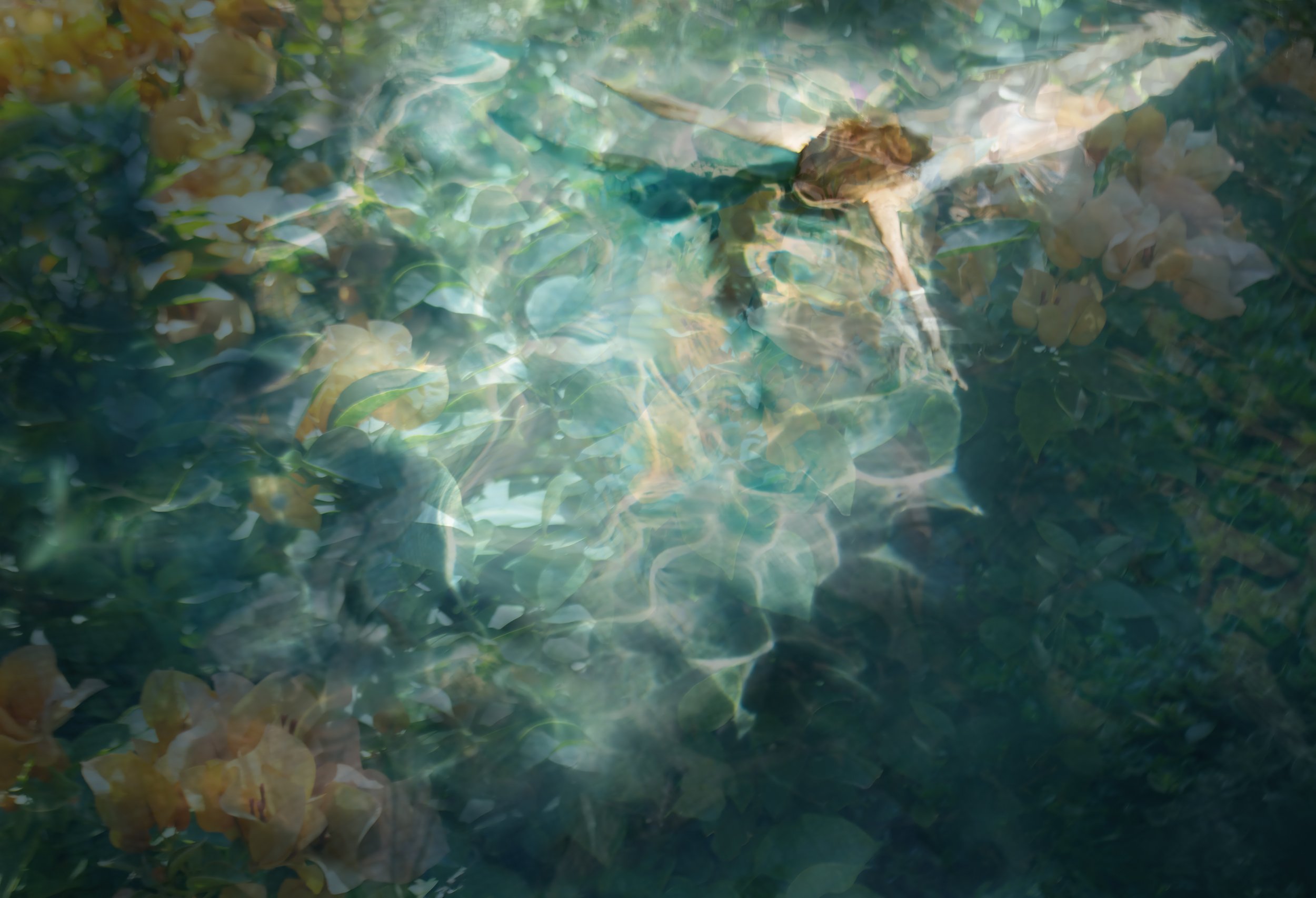 Apricot Dream</br>32" x 47"