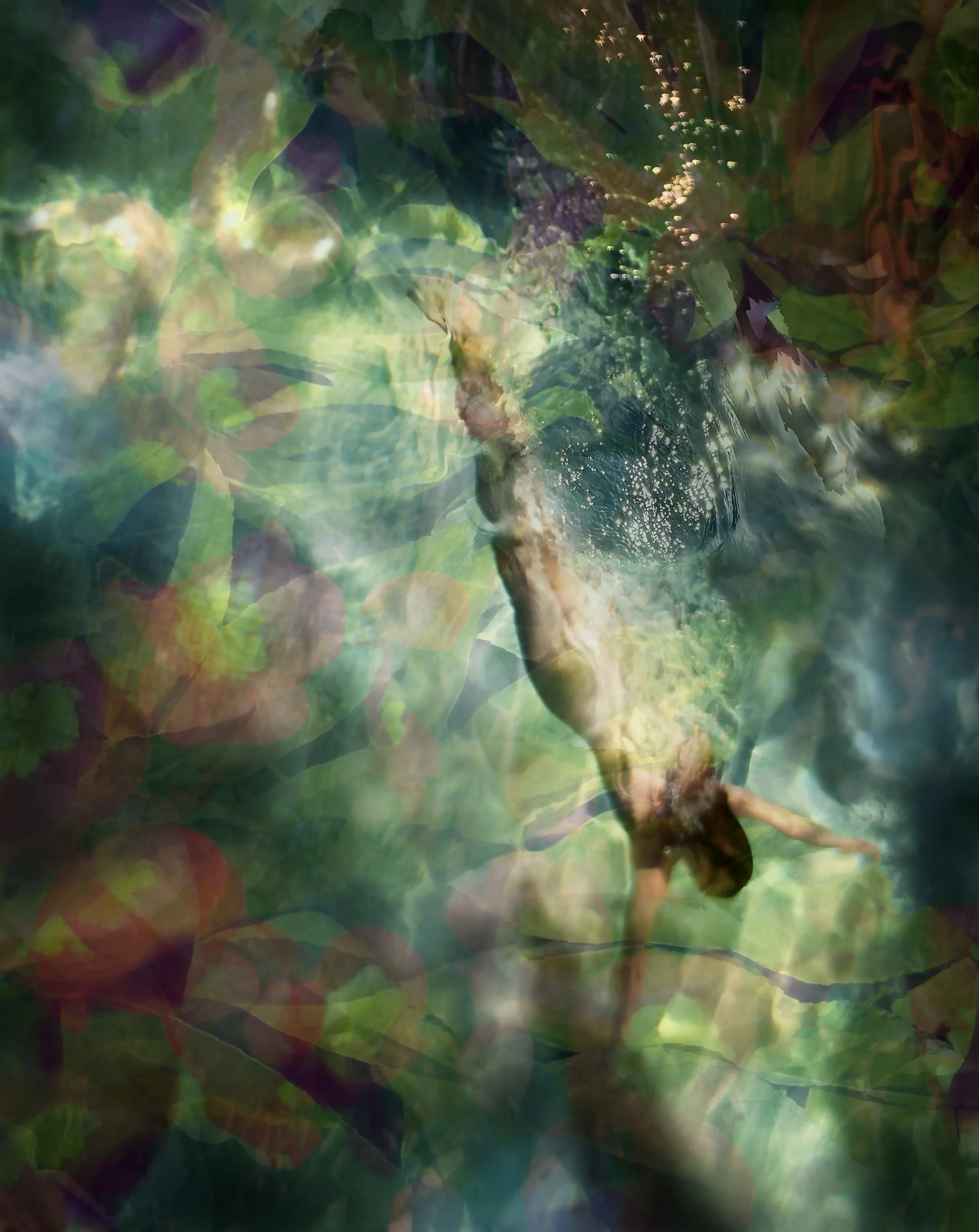 Kaleidescope (2026)</br>Acrylic face-mounted archival pigment print on Sintra.</br>45" x 36" - Editions of 10 + 2 AP&emsp;&emsp;52" x 42" - Editions of 8&emsp;&emsp;66" x 54" - Editions of 8