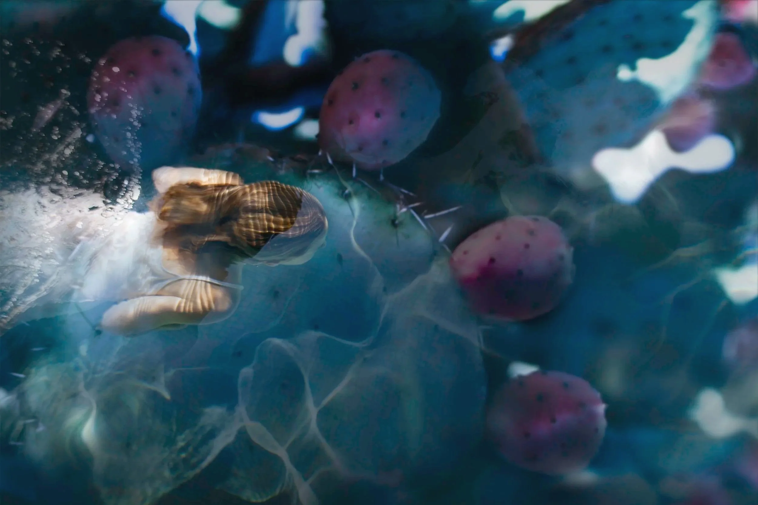 Prickly Pear</br>36" x 54"