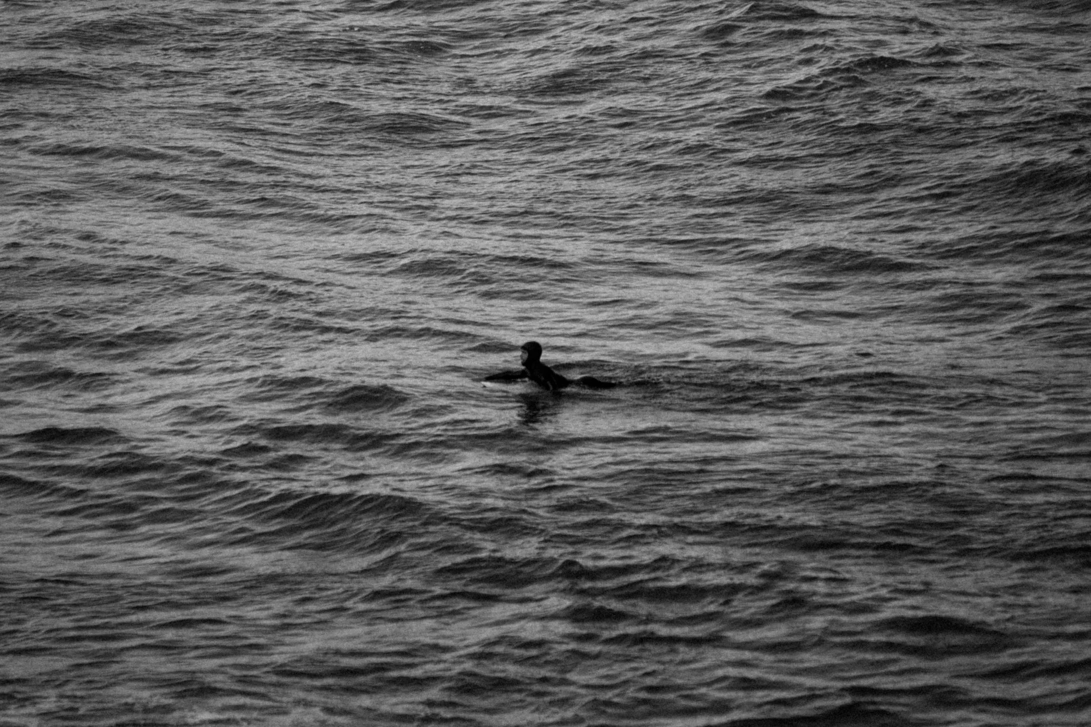 For The Love of The Ocean