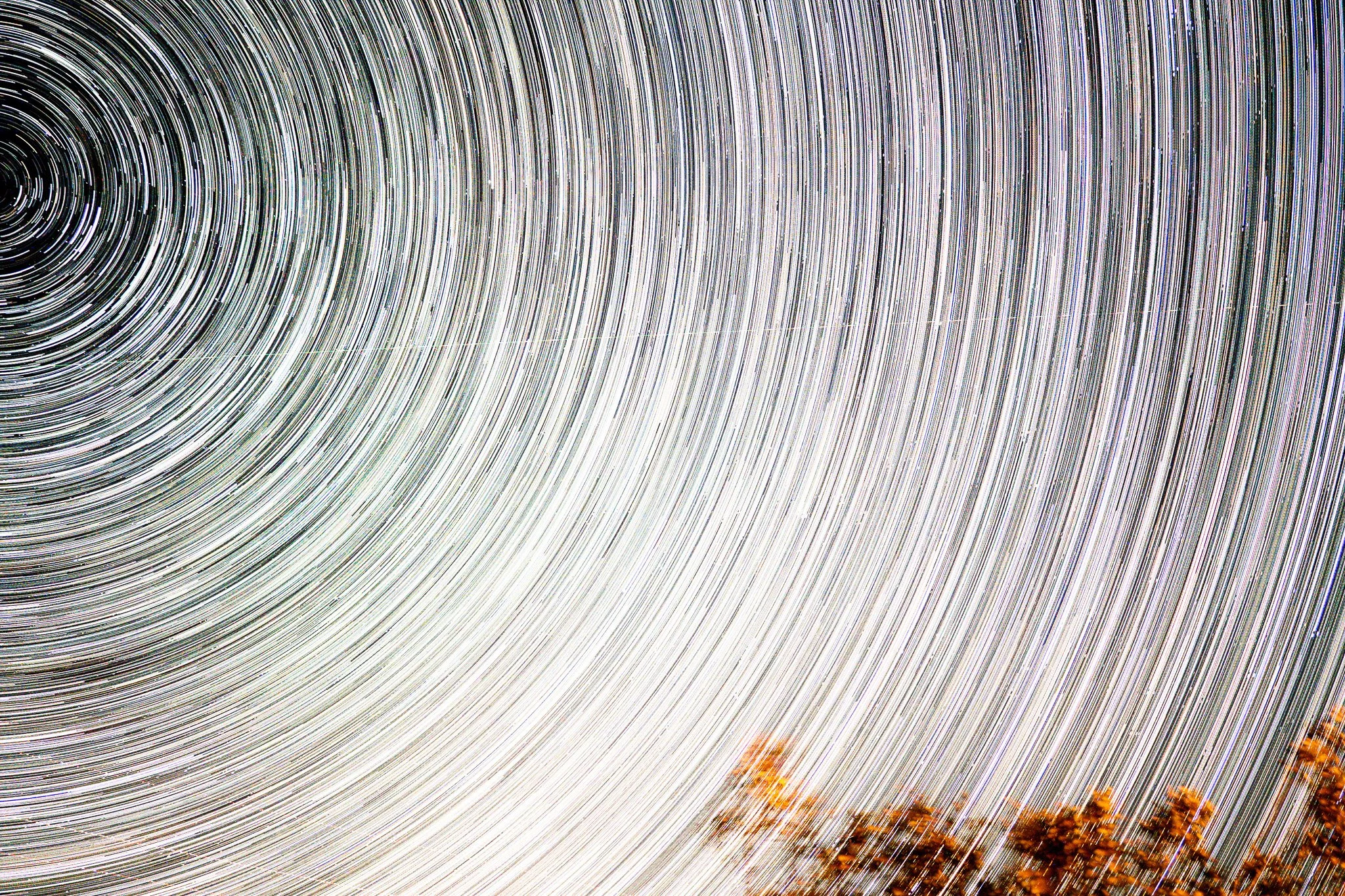 star trails-2.jpg