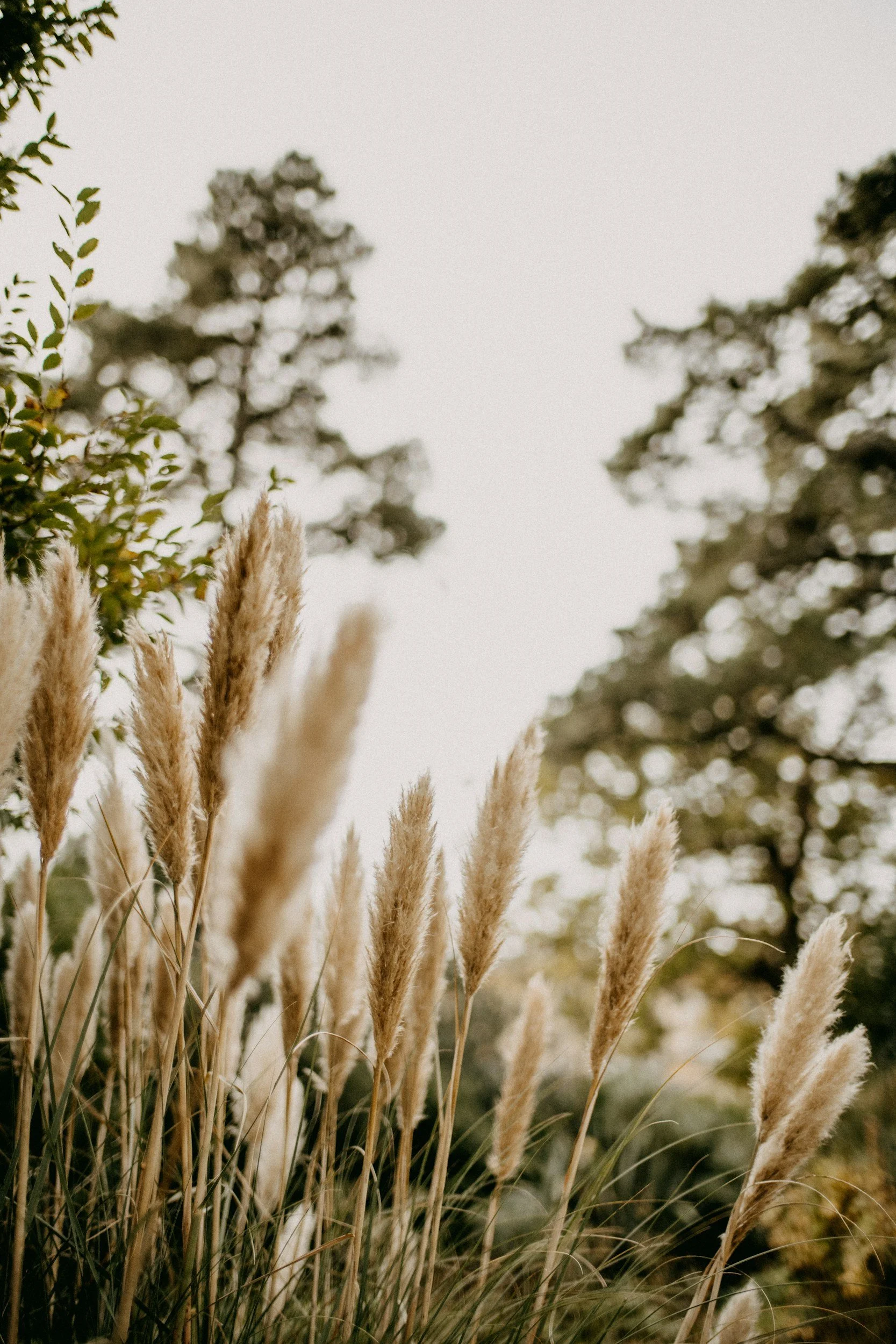 Fachfußplege Stuttgart bei Fußharmonie, Spyridion Giogiakas