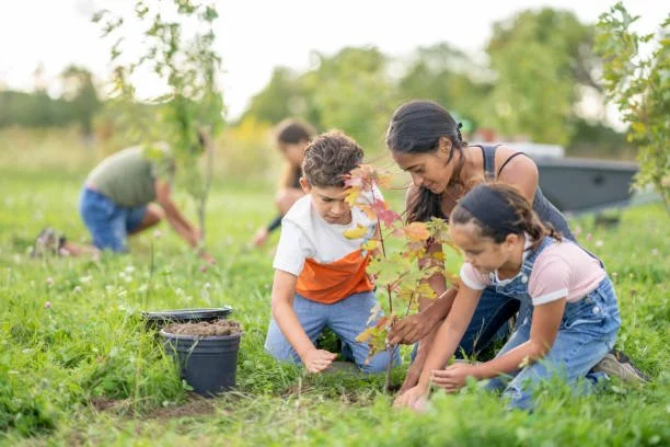 Frané Consulting Community Planting for Brand Awareness