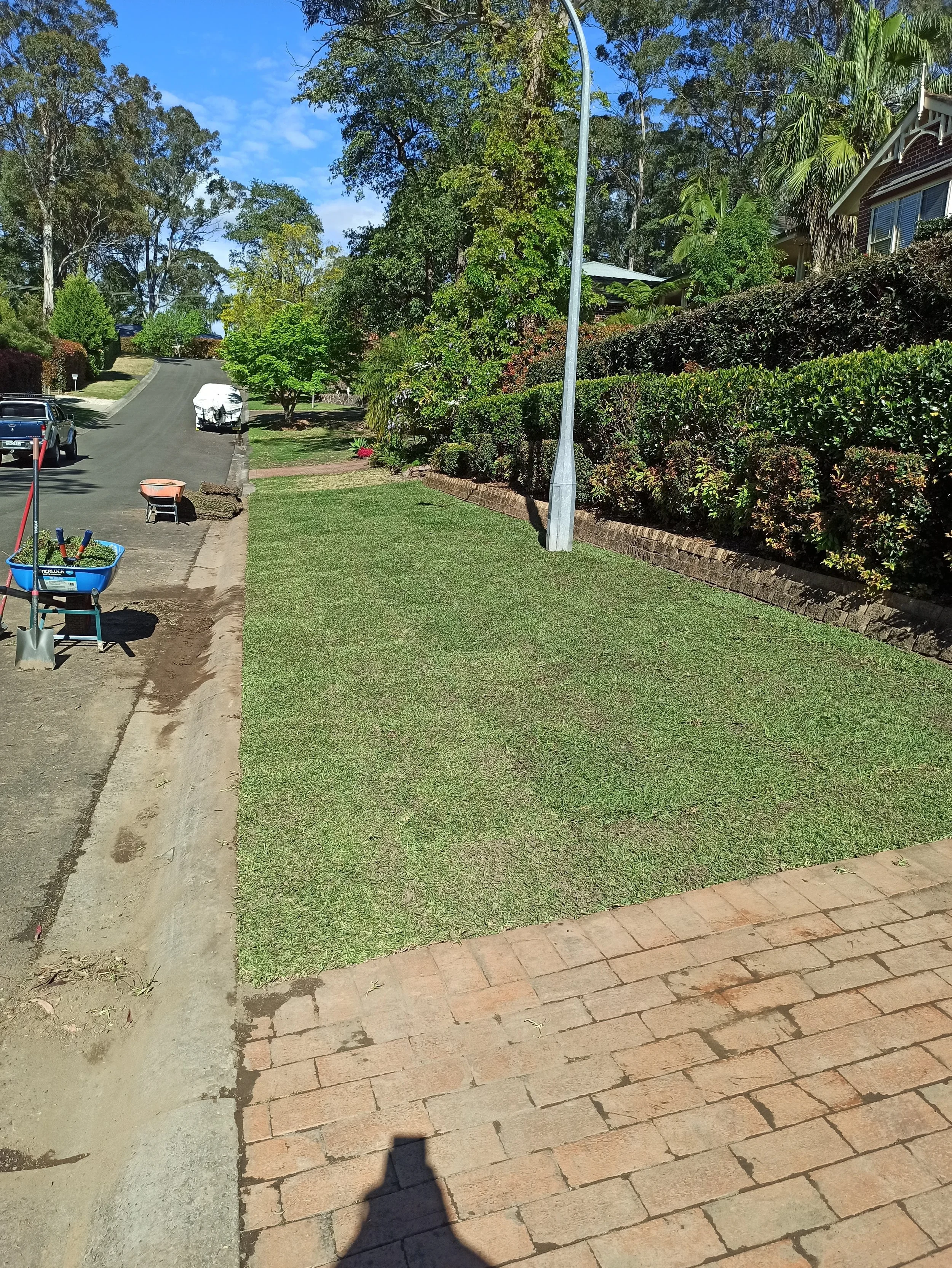 Turf in Katoomba - Greener Meadows