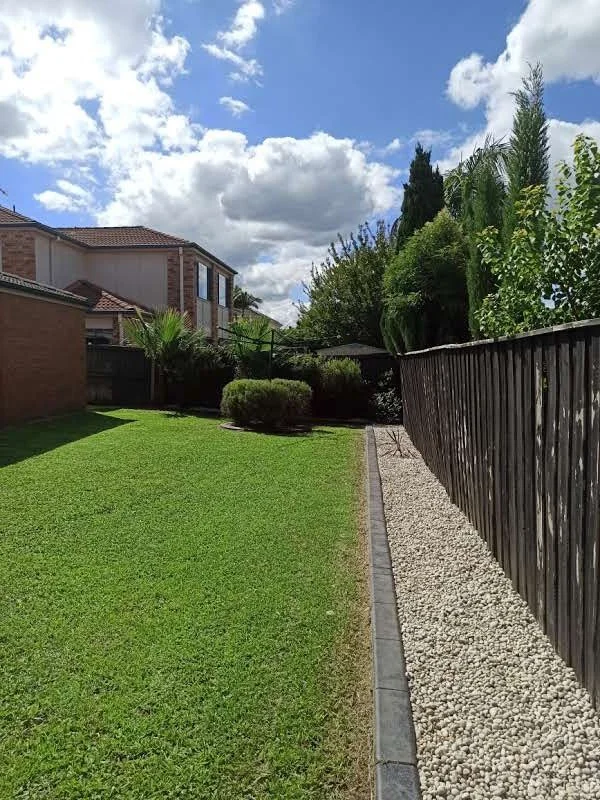 How Often Should You Mow Your Lawn in Sydney? 