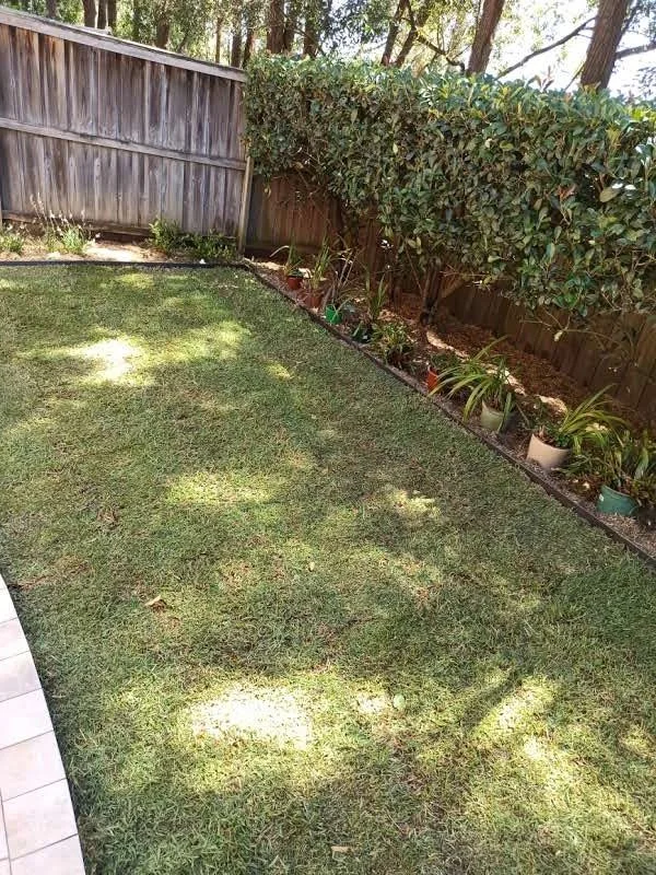 Garden Makeover, Lawn Mowing in Schofields - Greener Meadows
