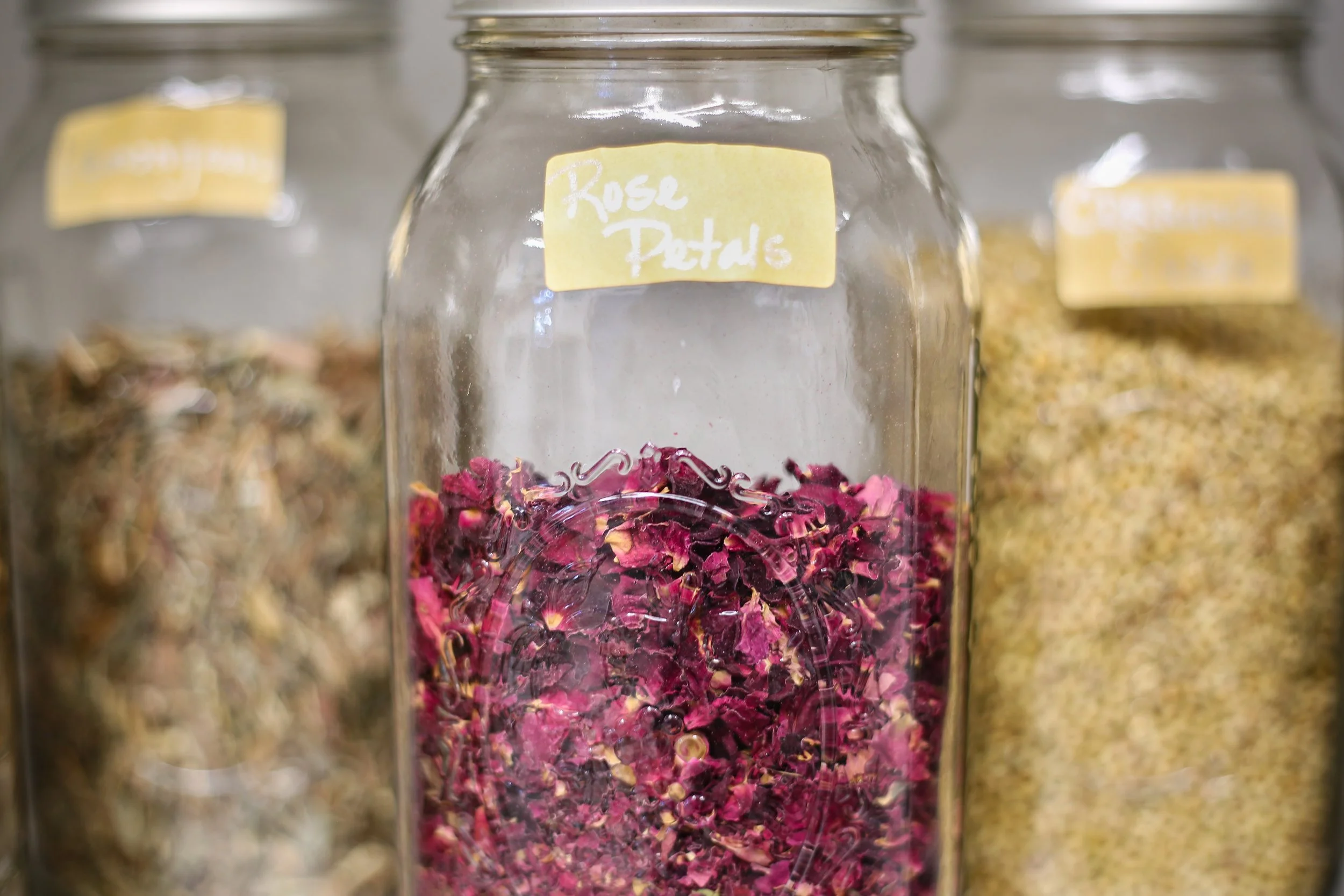 Nervous System Nourishment