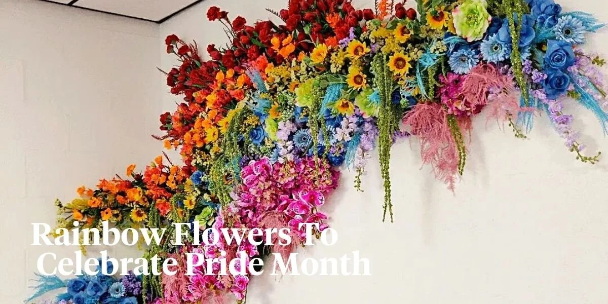 Rainbow Apothecary Workshop