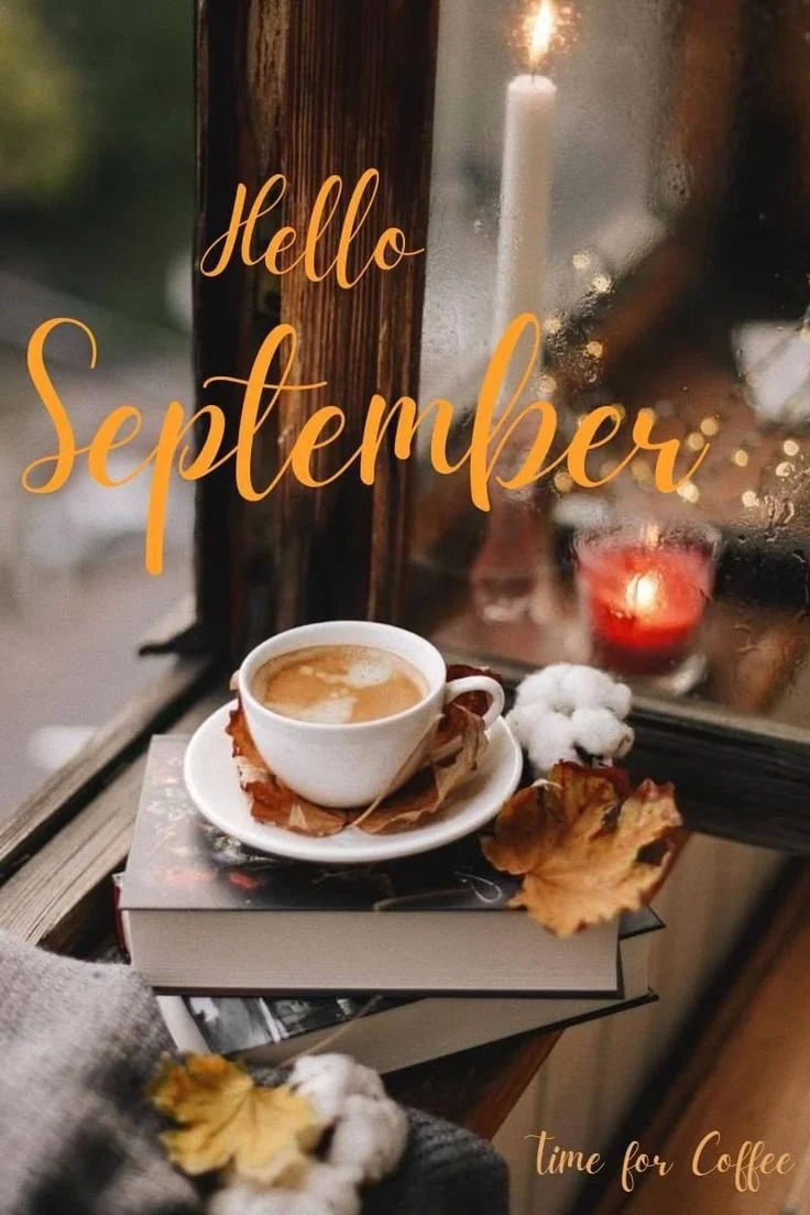 🍂🌿 THE SEASONAL SHIFT 🌿🍂