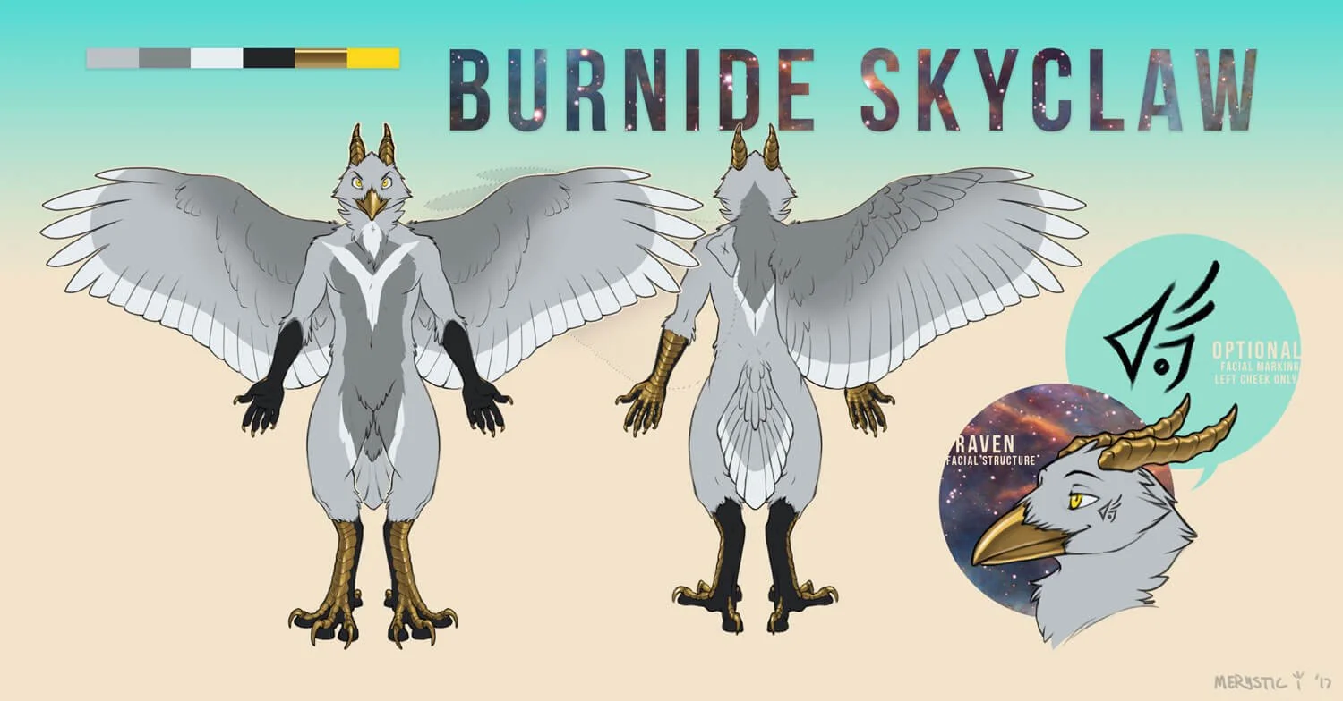 Reference Sheet Example: Burnide