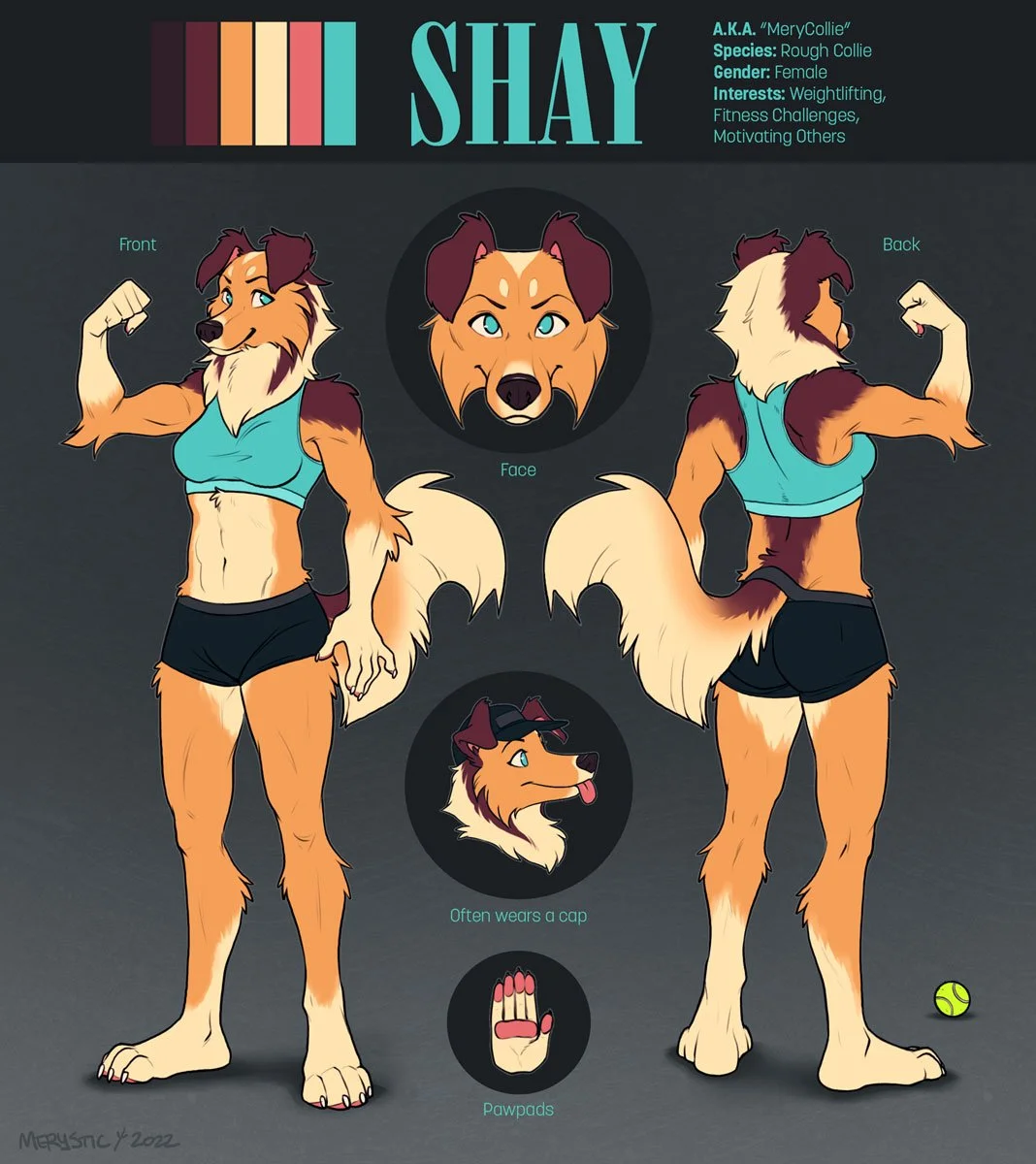 Reference Sheet Example: Shay