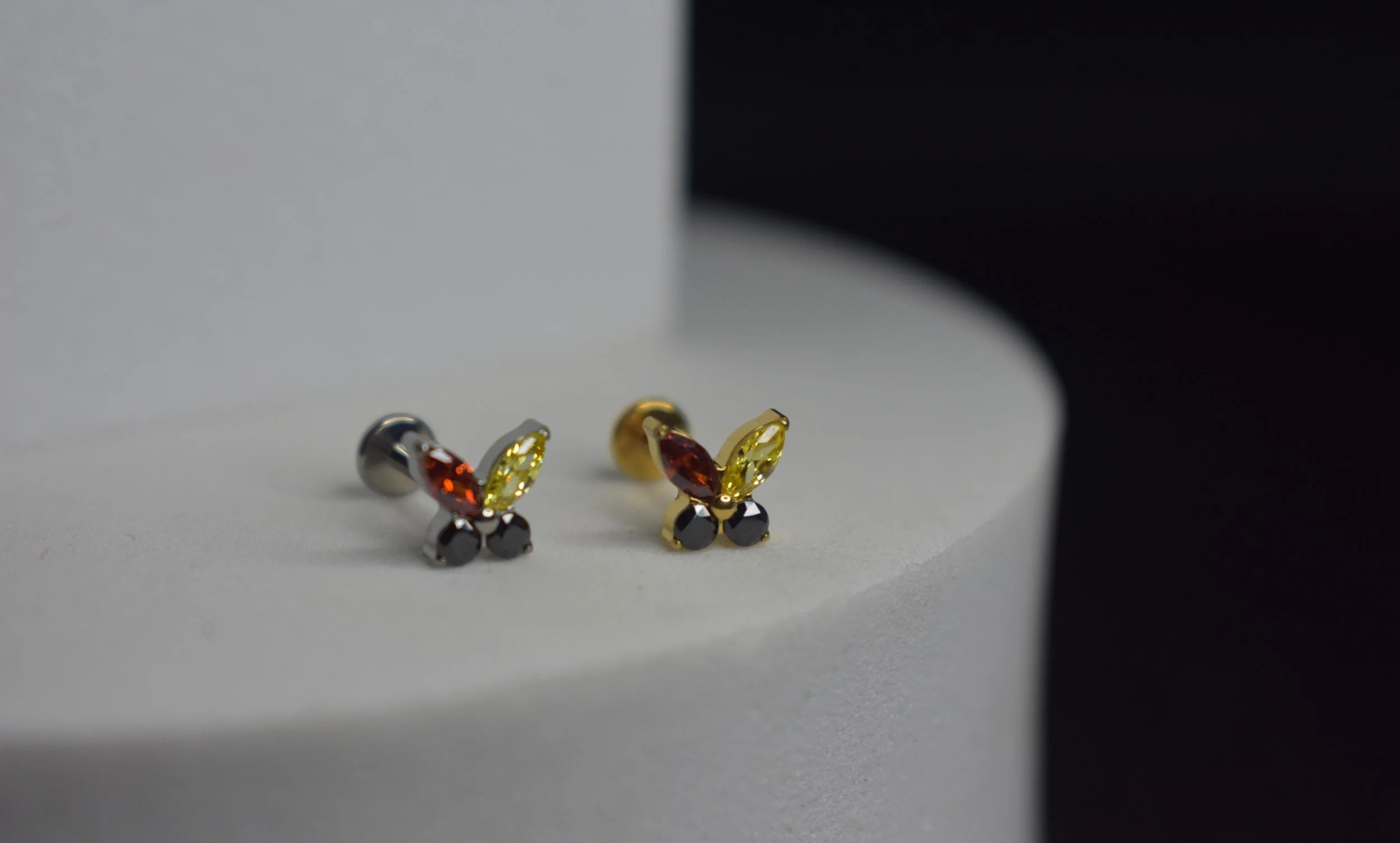 Butterfly murri 22.JPG