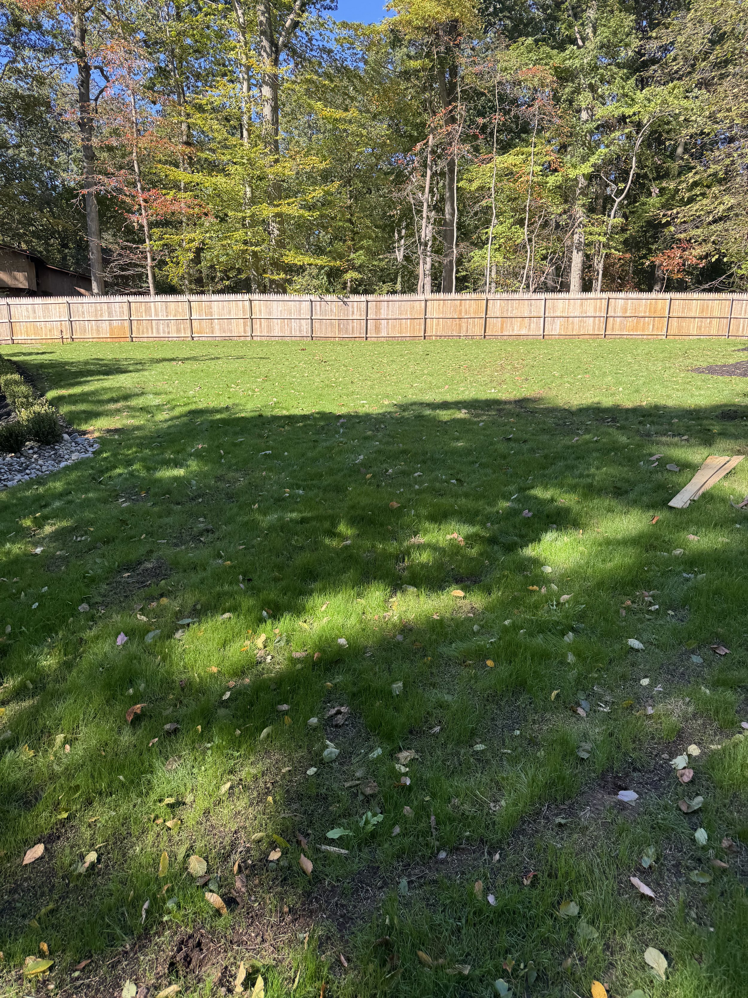 Backyard with green grass, wooden fence, and trees in the background. Shadows and some fallen leaves on the ground.