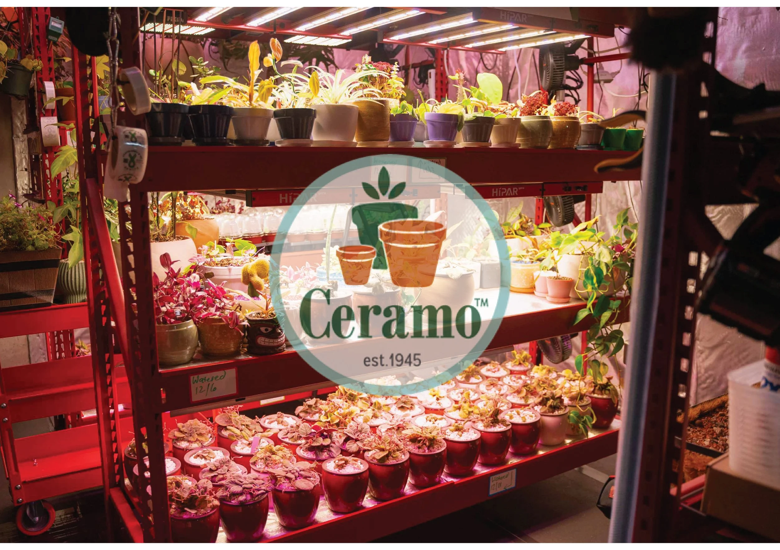 A red shelving unit holding indoor plants in various pots, with grow lights above, in a gardening or plant shop. Logo overlayed in the center with a potted plant, the text "Ceramo est. 1945"