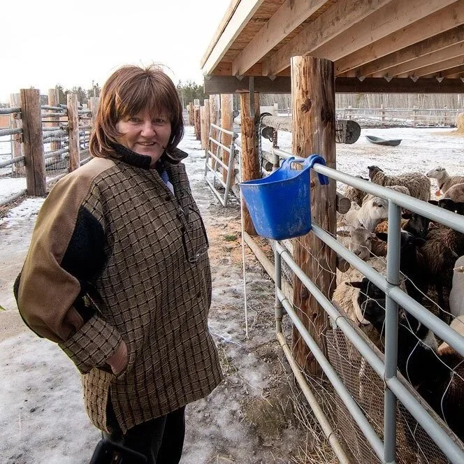 Woman standing near a fenced area with sheep, wooden structure above, and a blue bucket hanging on the fence.