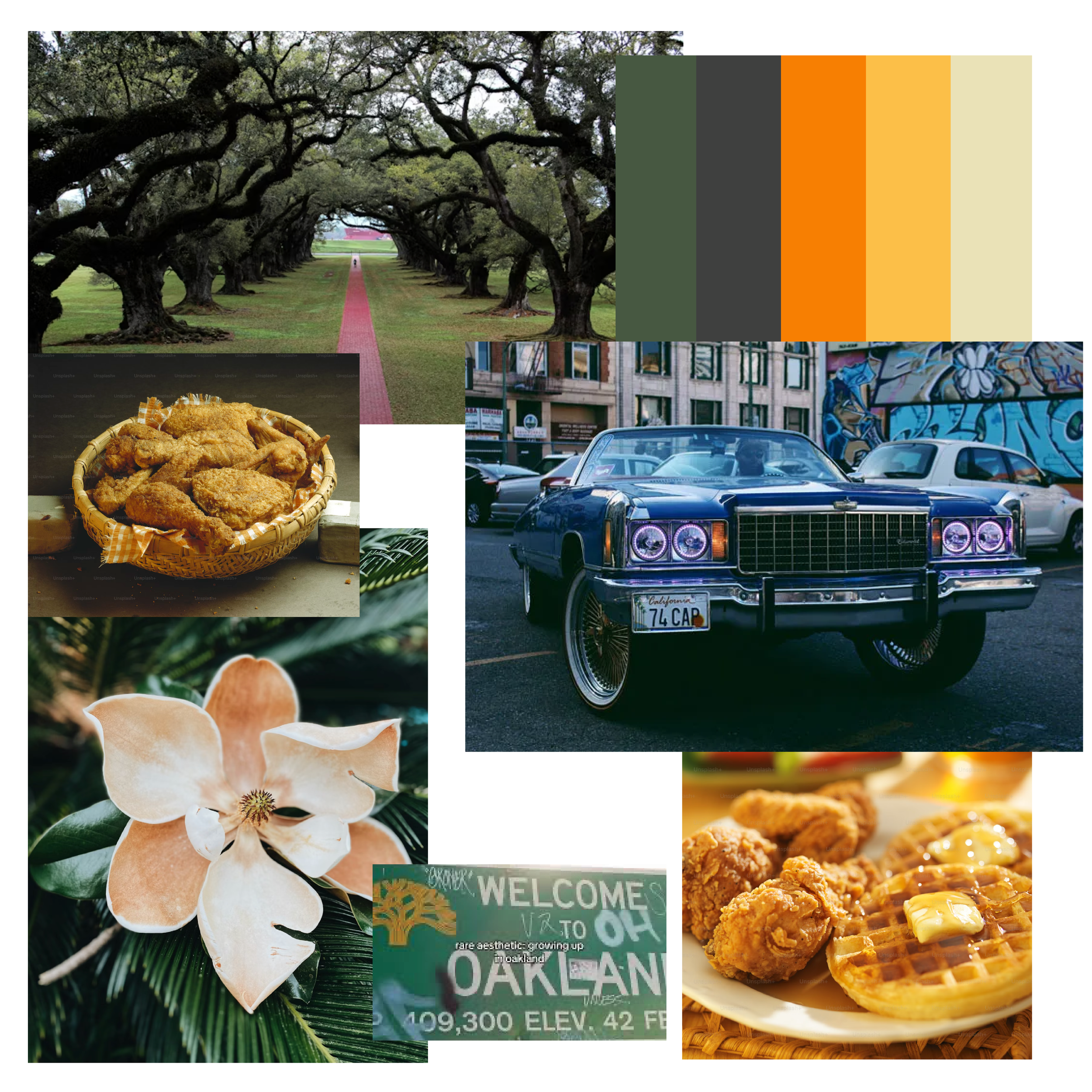 Alma Jackson's Fried Chicken [Recovered]-01.png