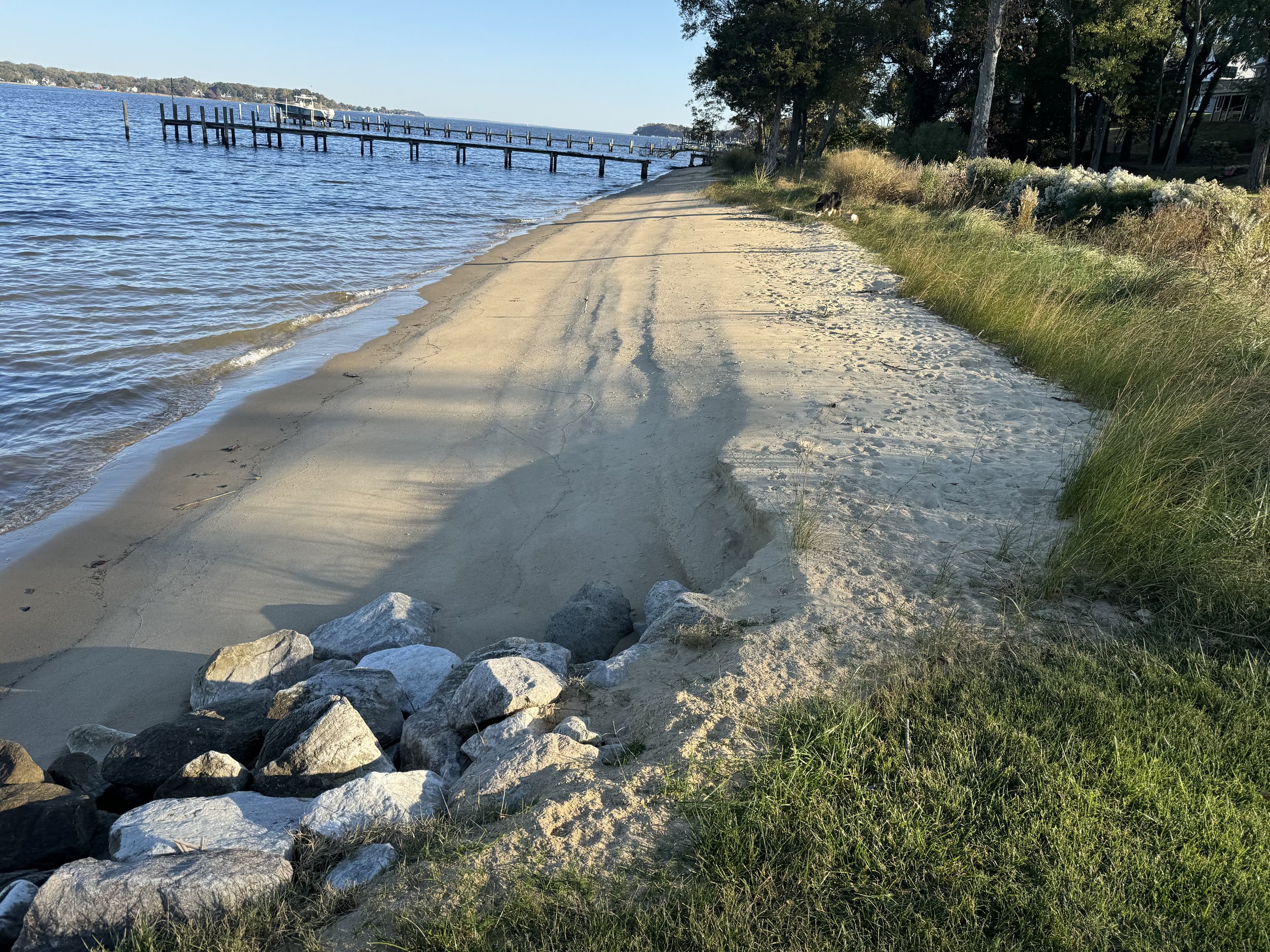 A sandy beach with rocks in the foreground, gentle water on the left side, and grassy dunes with trees and houses in the background.