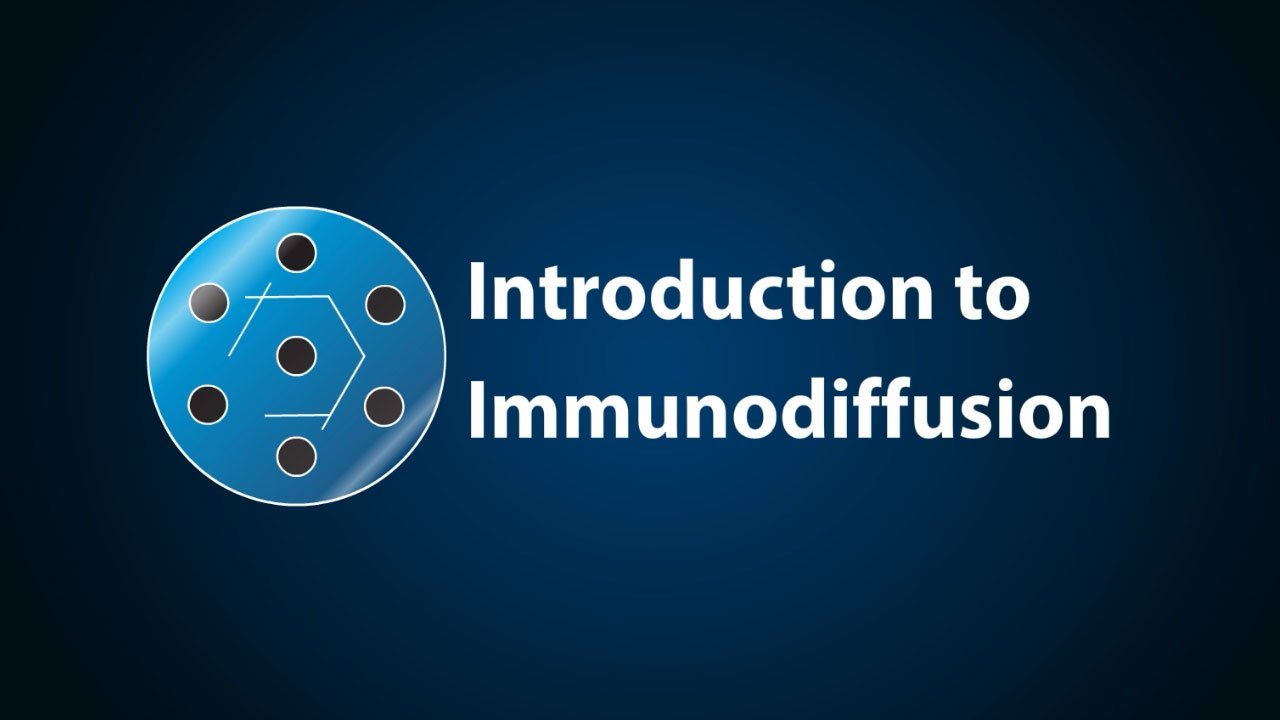 Intro to Immunodiffusion (Animated Video)