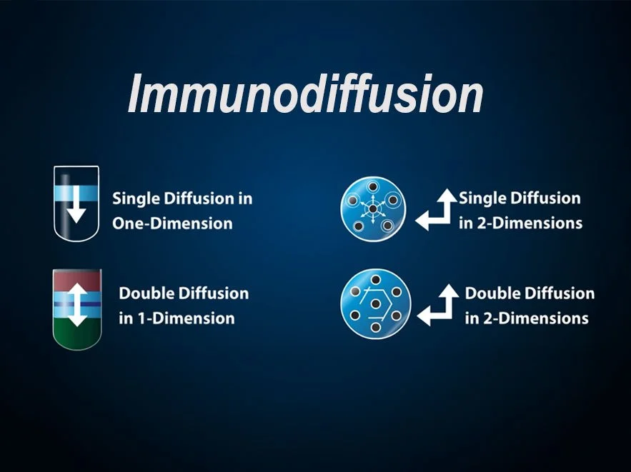Intro to Immunodiffusion