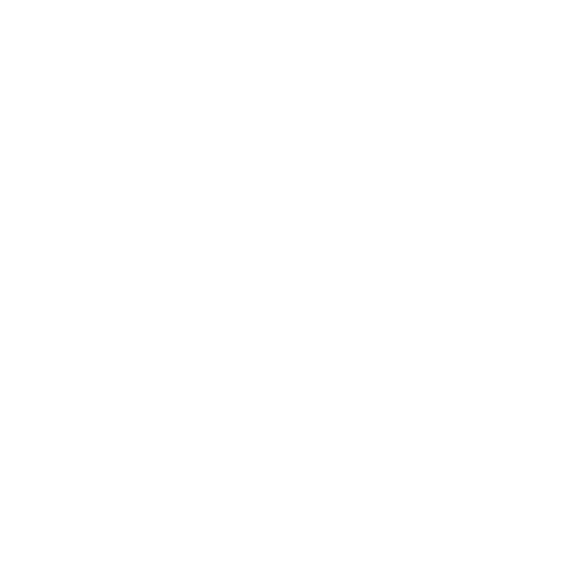 Cruise Ship