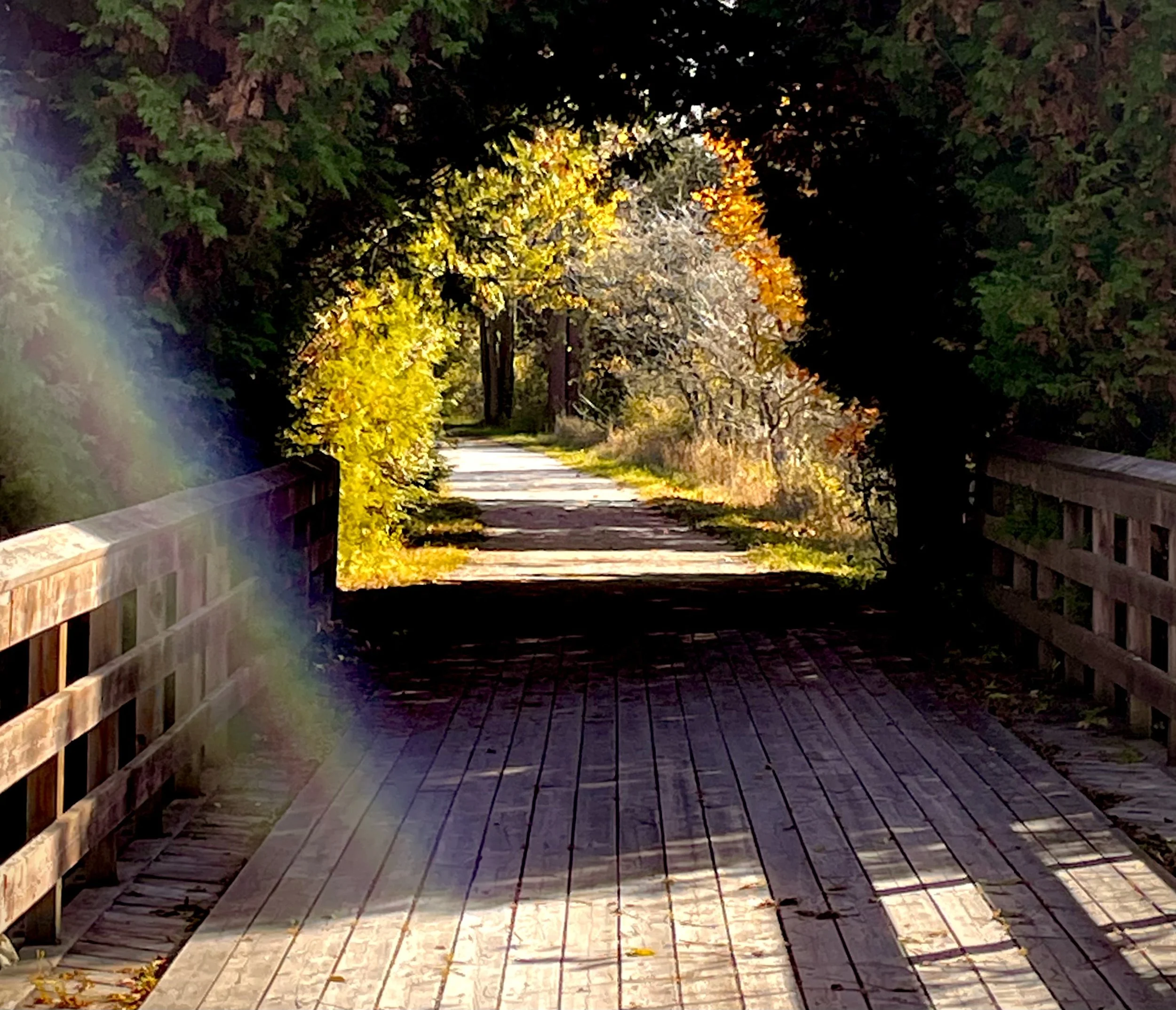 Cedar Bridge