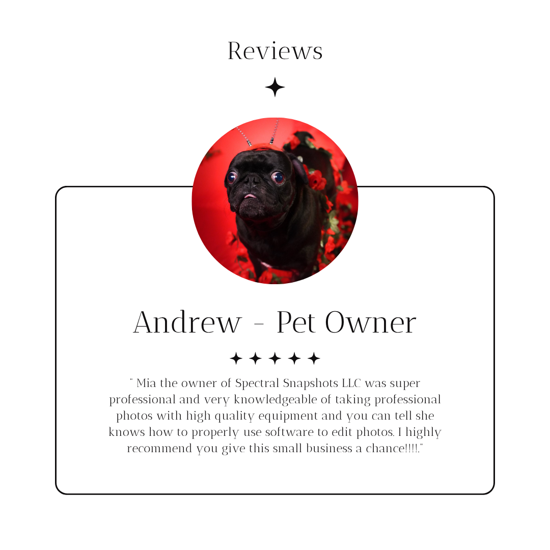 A review card featuring a black dog with a red background and flowers, with a heading 'Reviews' and a section introducing Andrew as a pet owner, including a five-star rating and a testimonial about Mia.