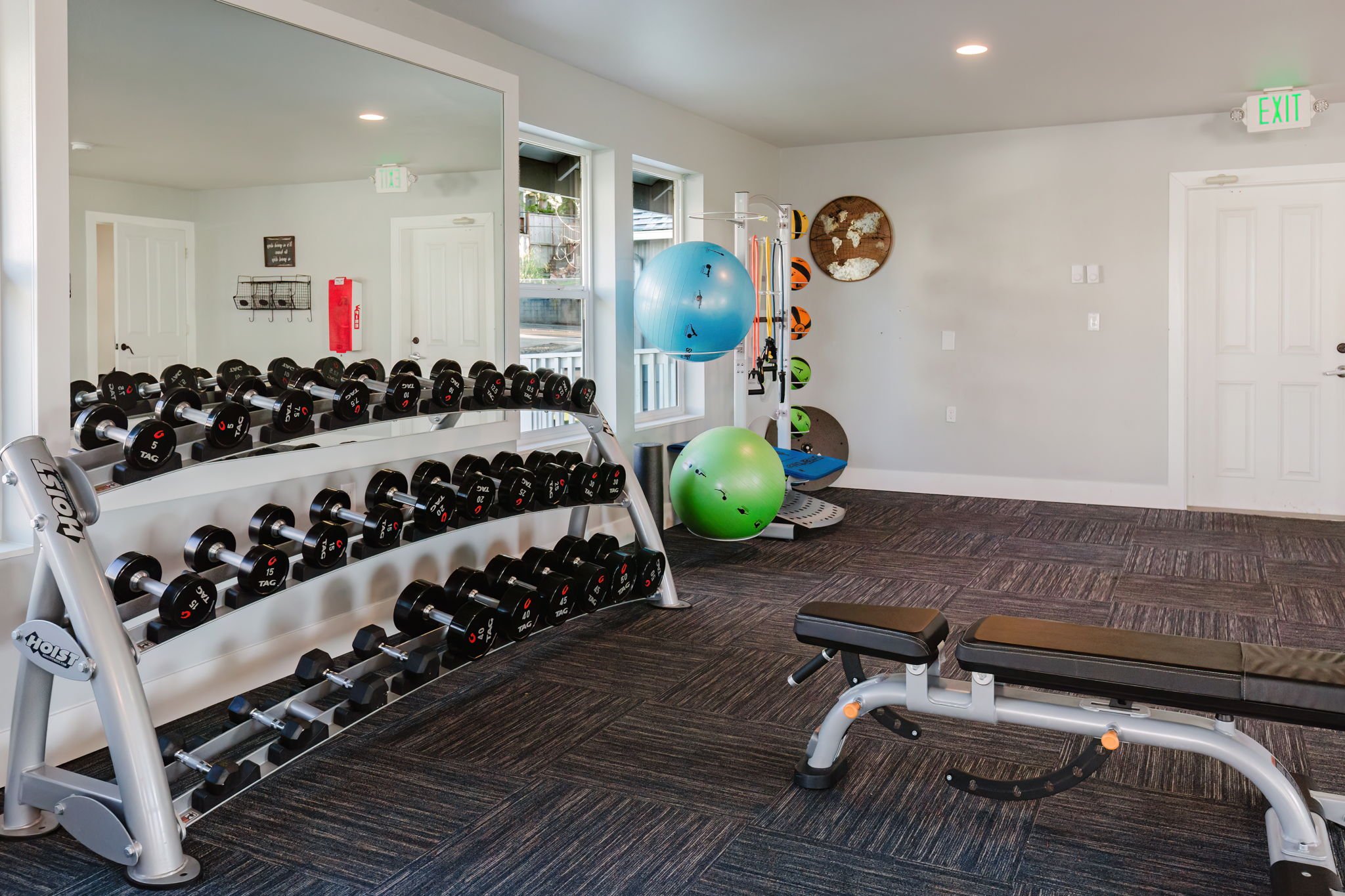 Empty gym room with exercise equipment including dumbbells, a weight bench, resistance bands, stability balls, and a punching bag, with large windows and a dark carpeted floor.