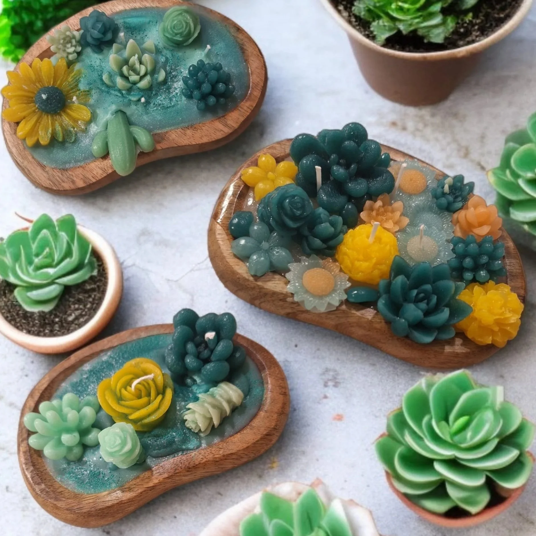 Sukkulenten-Garten im Holzschale