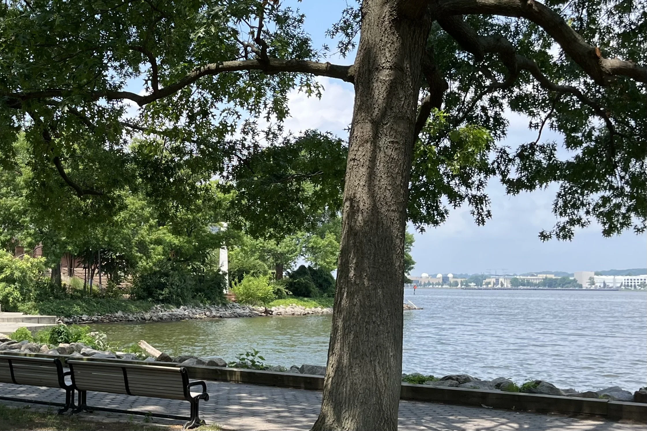 Shaded benches beneath mature trees overlooking the Potomac River at Tide Lock Park in Old Town Alexandria.